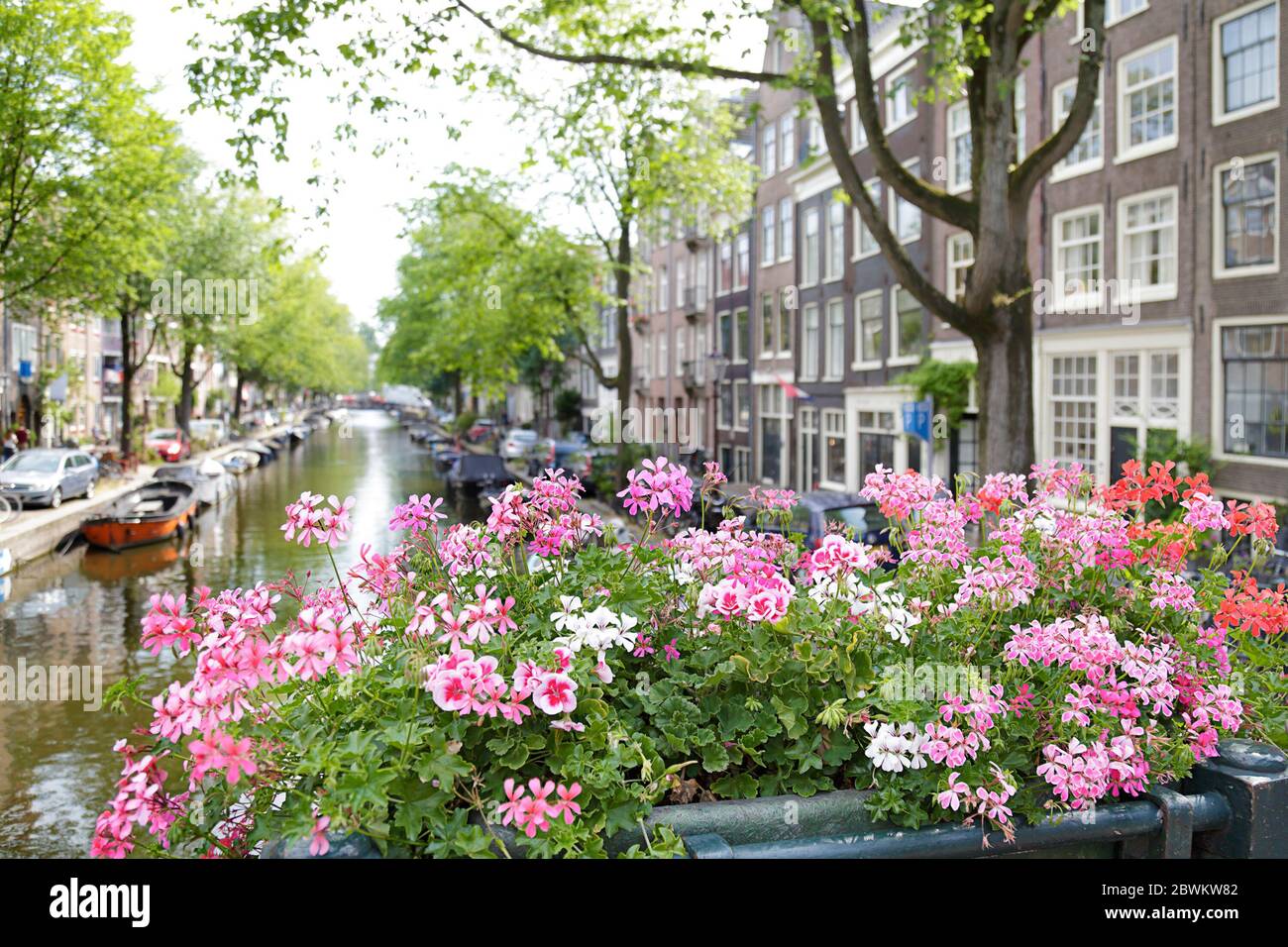 Vista de los edificios hermosos y el canal desde un puente con flores, Amsterdam, los países Bajos Foto de stock