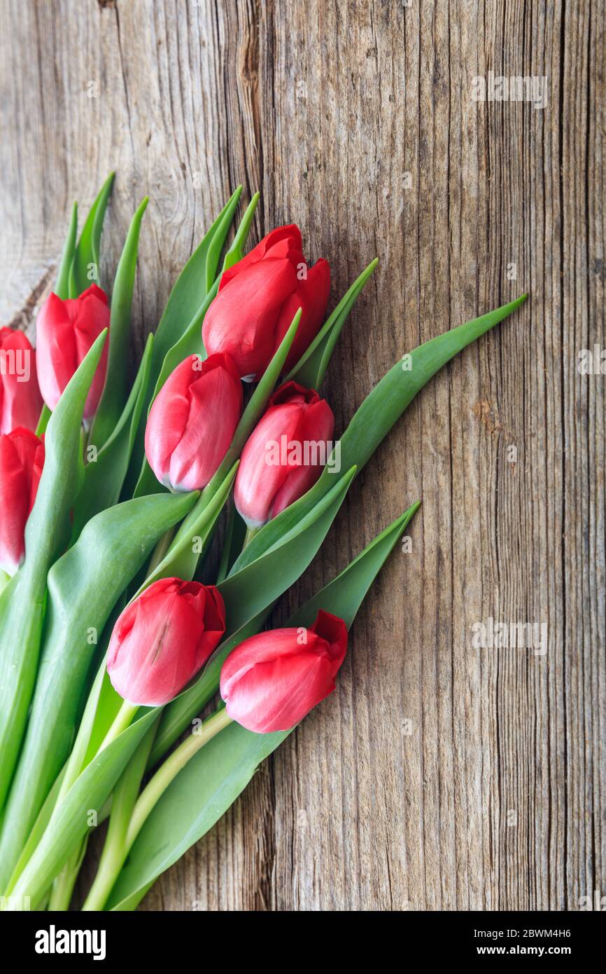 Ramo de tulipanes rojos aislado sobre fondo de madera. Presente de  licitación para el día de la Madre, día de la mujer, día de San Valentín  concepto. Foto vertical, vista de primer
