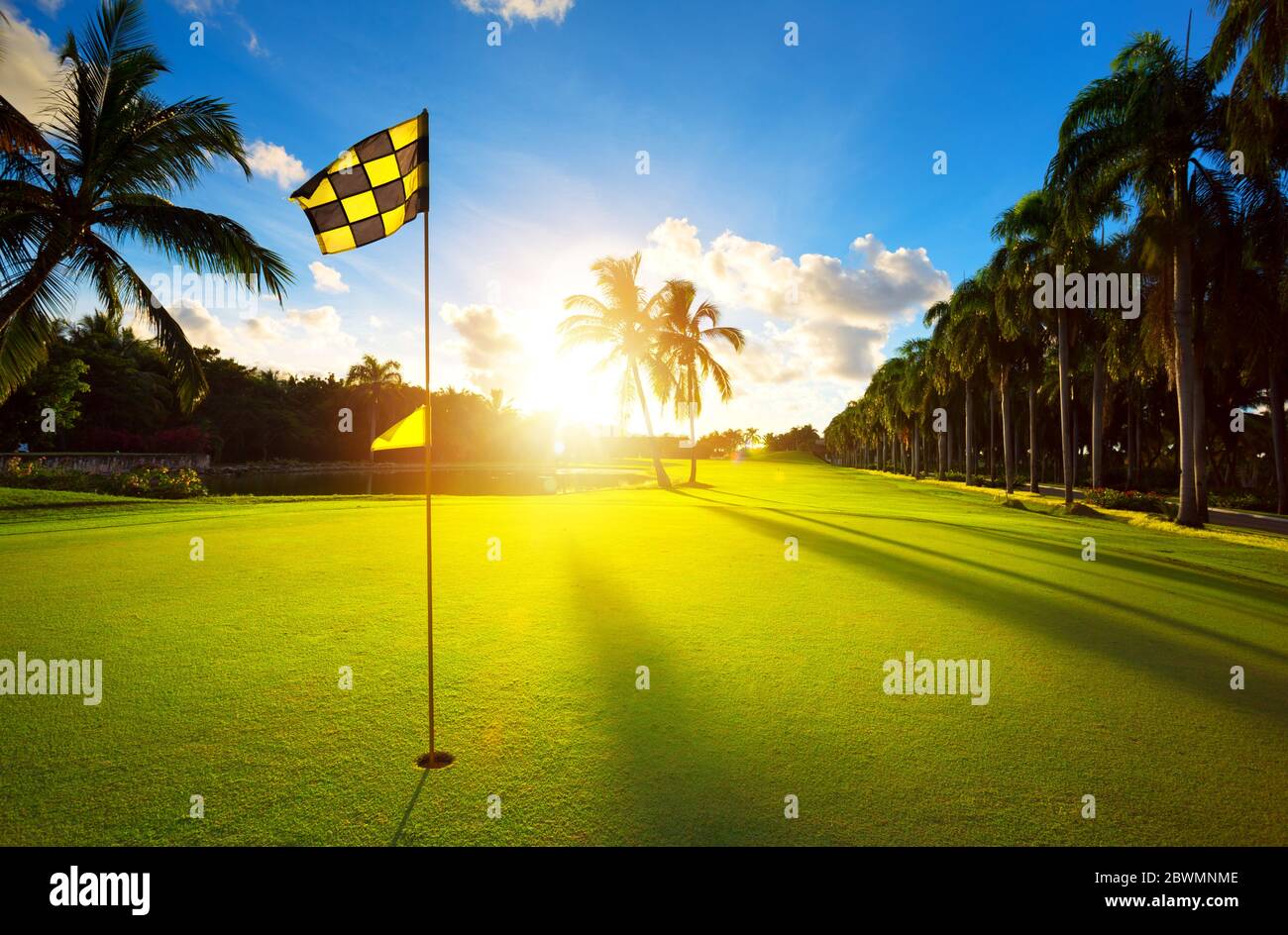 Vacaciones de verano de lujo; campo de golf tropical en el campo Foto de stock
