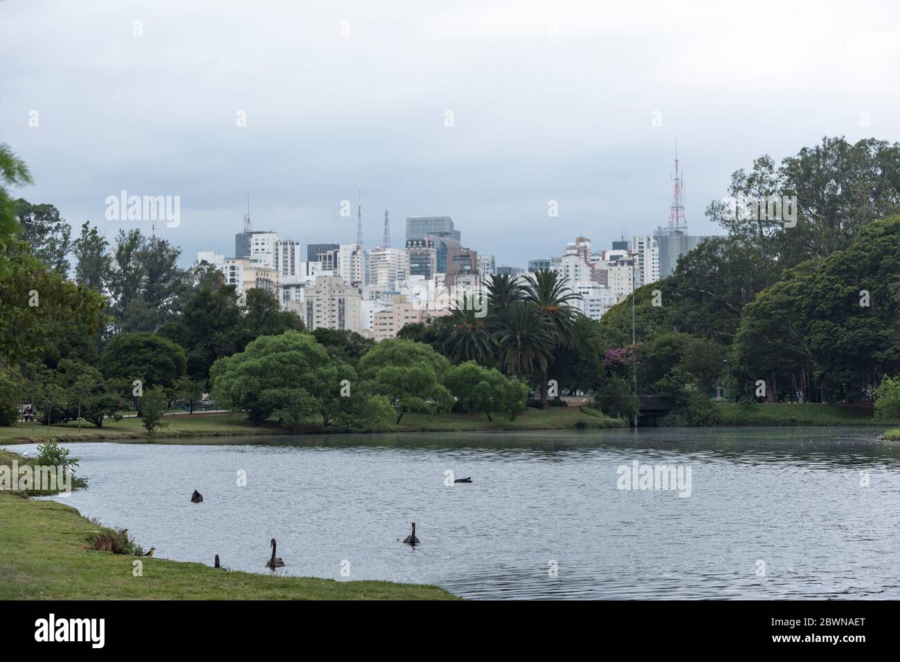 Sao Paolo, horizonte. Vista desde el Parque Ibirapuera Foto de stock