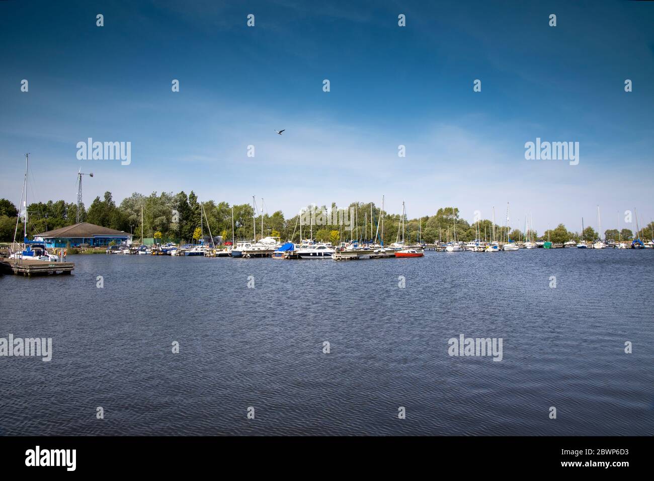 Vista del puerto deportivo de Kinnego con barcos amarrados en un cálido y soleado día de primavera Foto de stock