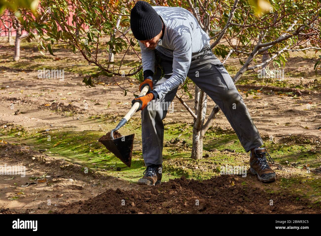 Agricultor cultivando la tierra con azada, huerto, Calahorra, la Rioja, España, Europa Foto de stock