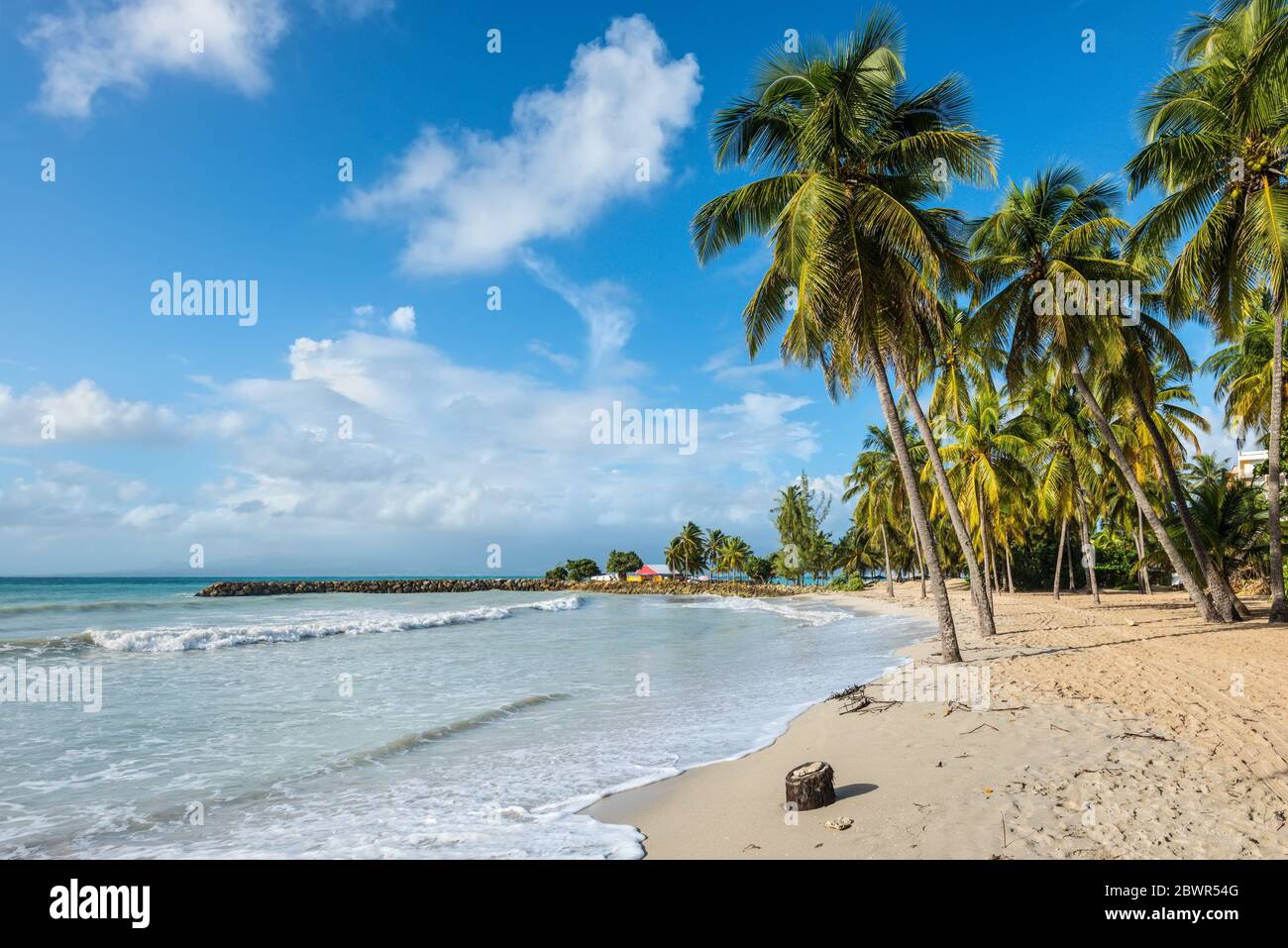 Paradise playa tropical y palmeras, el Gosier en la isla de Guadalupe, el Caribe. Foto de stock