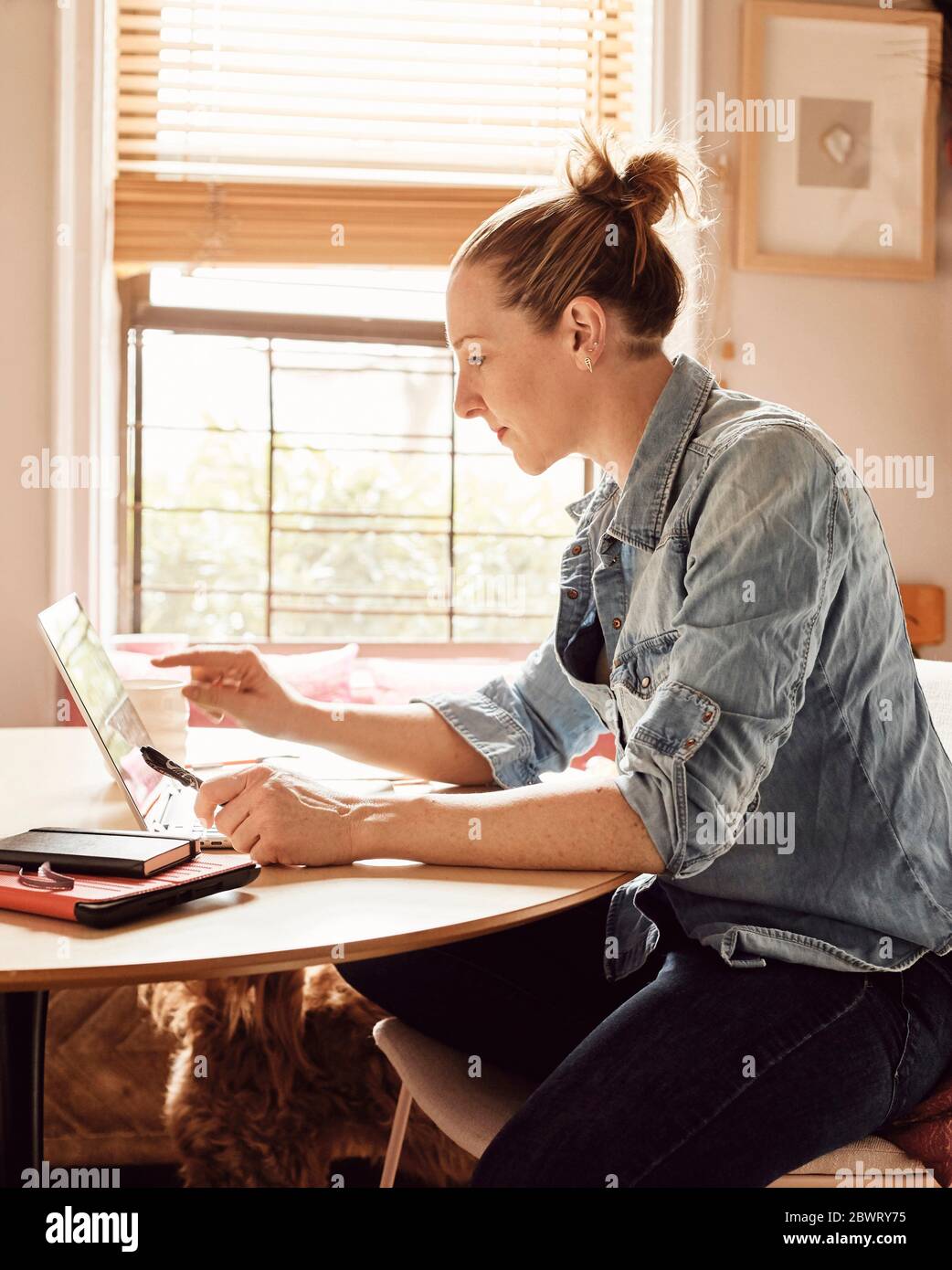 Una mujer que trabaja desde casa en su soleada cocina, concentrándose en su ordenador. Foto de stock