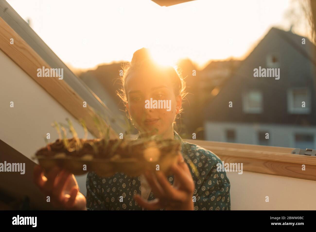 Mujer joven que sostiene la planta de espinaca en la ventana en contraluz Foto de stock