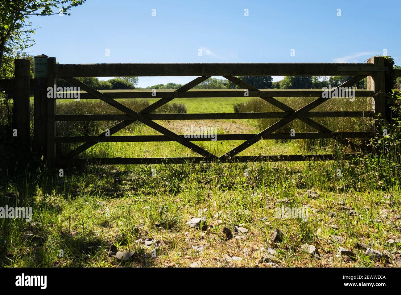 Puerta de la granja en el campo de hierba. Anglesey, Gales, Reino Unido, Gran Bretaña Foto de stock