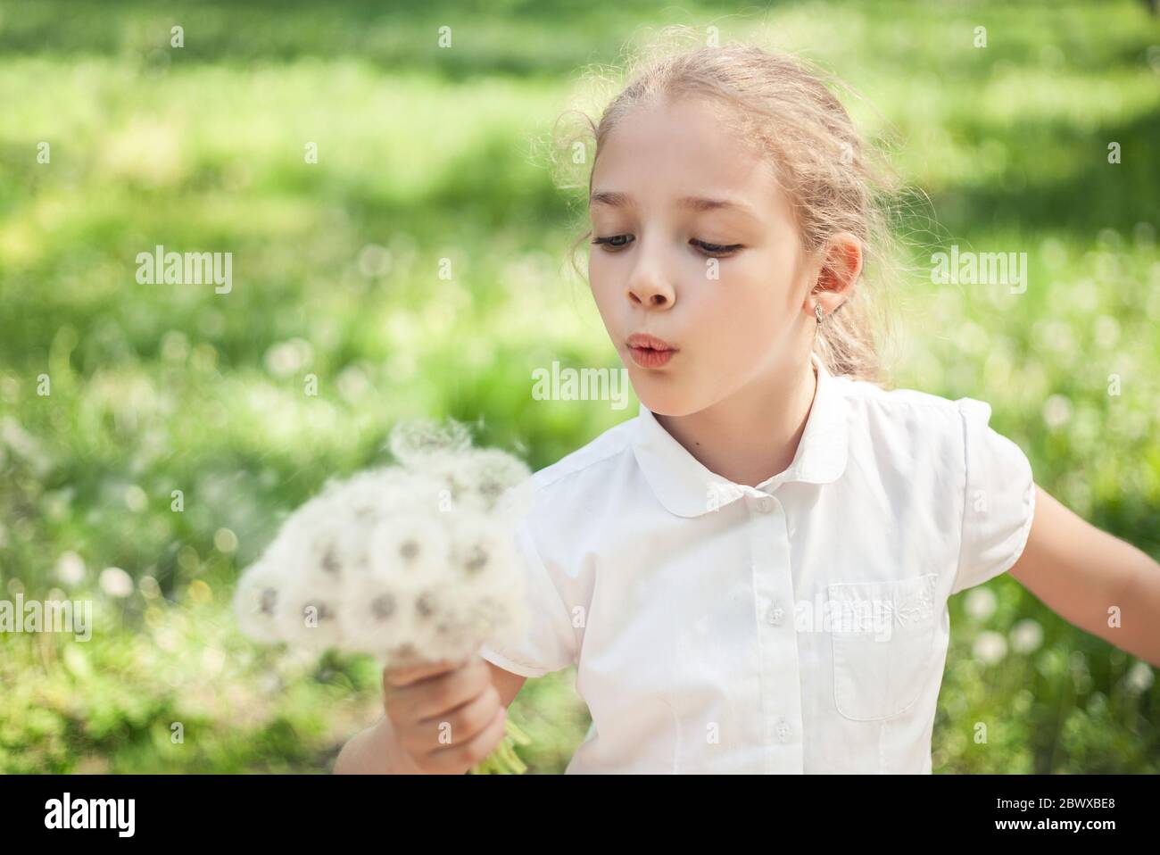 Una niña en edad preescolar o primaria con dientes en la mano en un prado de verano. Foto de stock