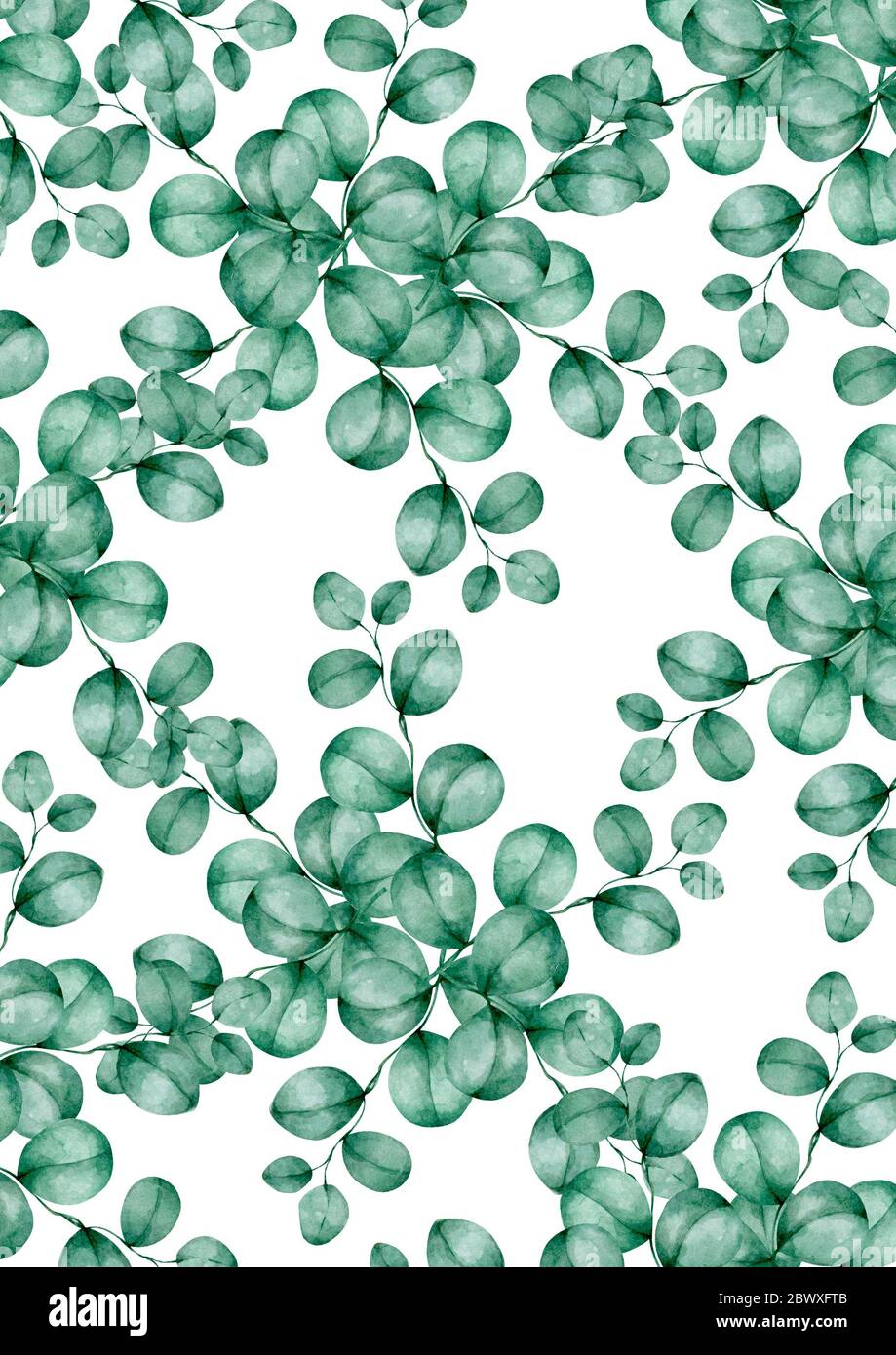 Plantilla de marco vertical con flores verdes sobre fondo blanco.  Orientación vertical. Ilustración de diseño de acuarela elemento botánico  para Fotografía de stock - Alamy