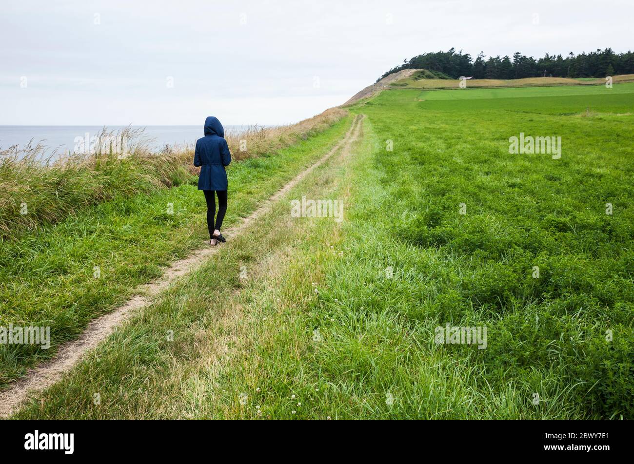Una joven que camina por el camino a Ebeys Bluffs, la Reserva histórica Nacional de Ebey's Landing, Whidbey Island, Washington, EE.UU. Foto de stock