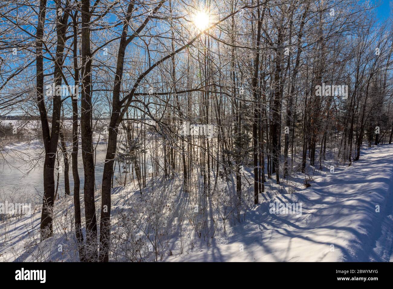 La calidez del sol en una mañana de febrero en el norte de Wisconsin. Foto de stock