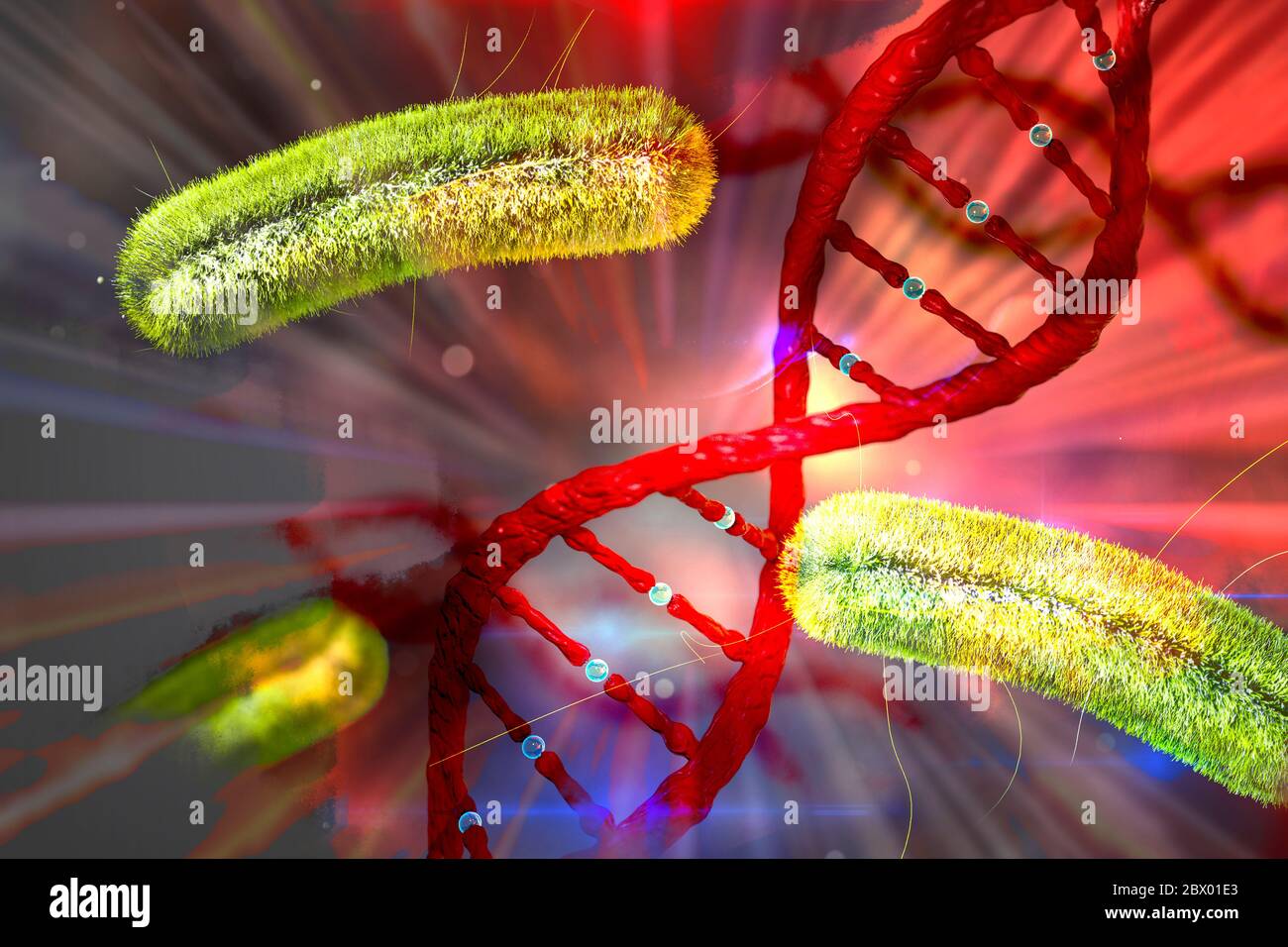Concepto de bacterias y ADN Antecedentes científicos de bacterias y ADN Foto de stock