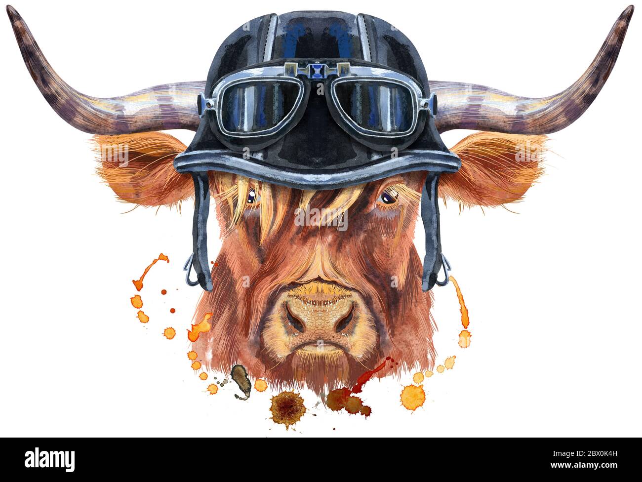 Ilustración acuarela de un toro marrón de cuernos largos en un casco de  biker con gafas Fotografía de stock - Alamy