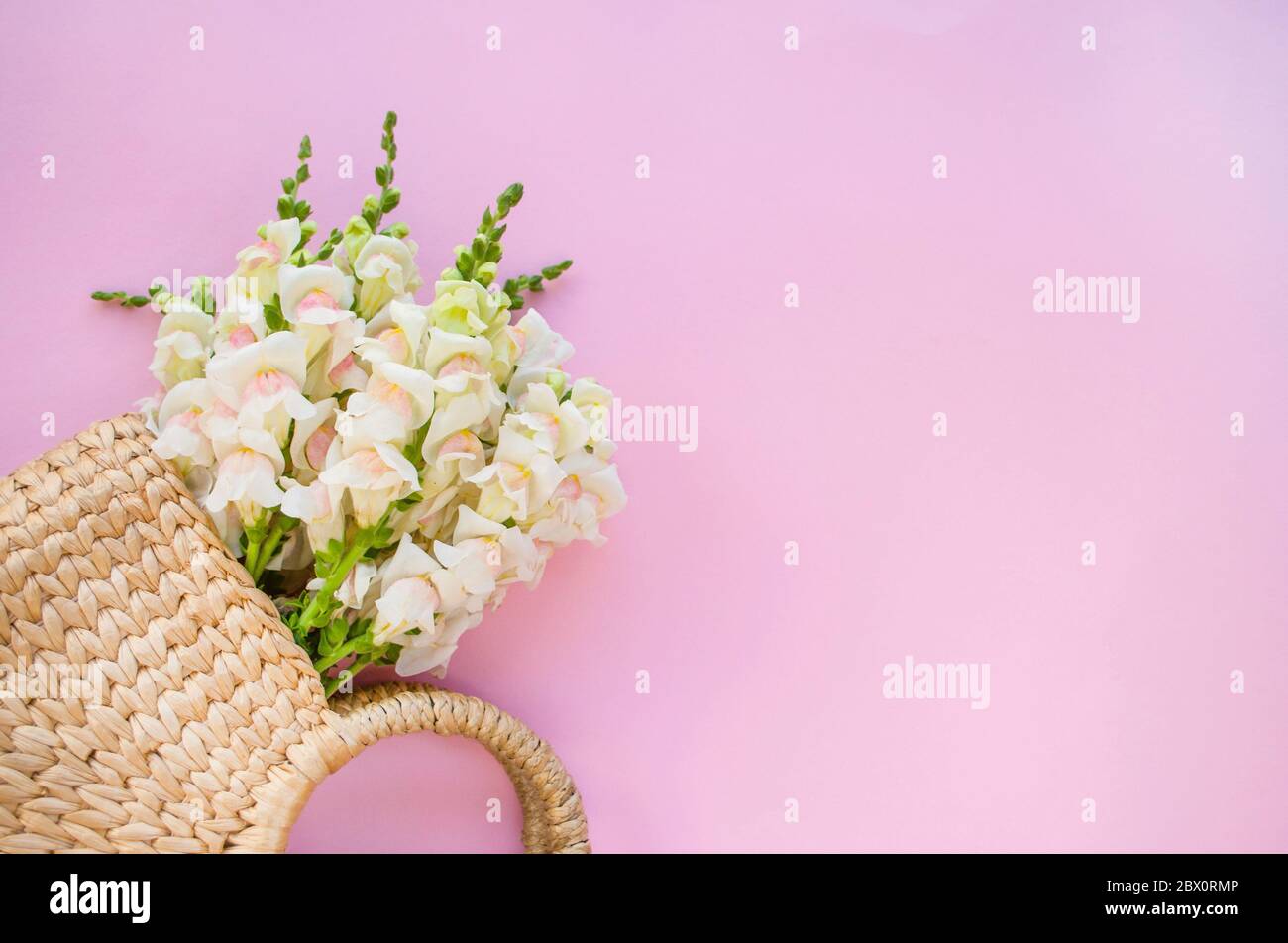 Bolsa de paja moderna con hermoso ramo de flores blancas sobre fondo rosa con copyspace. Foto de stock