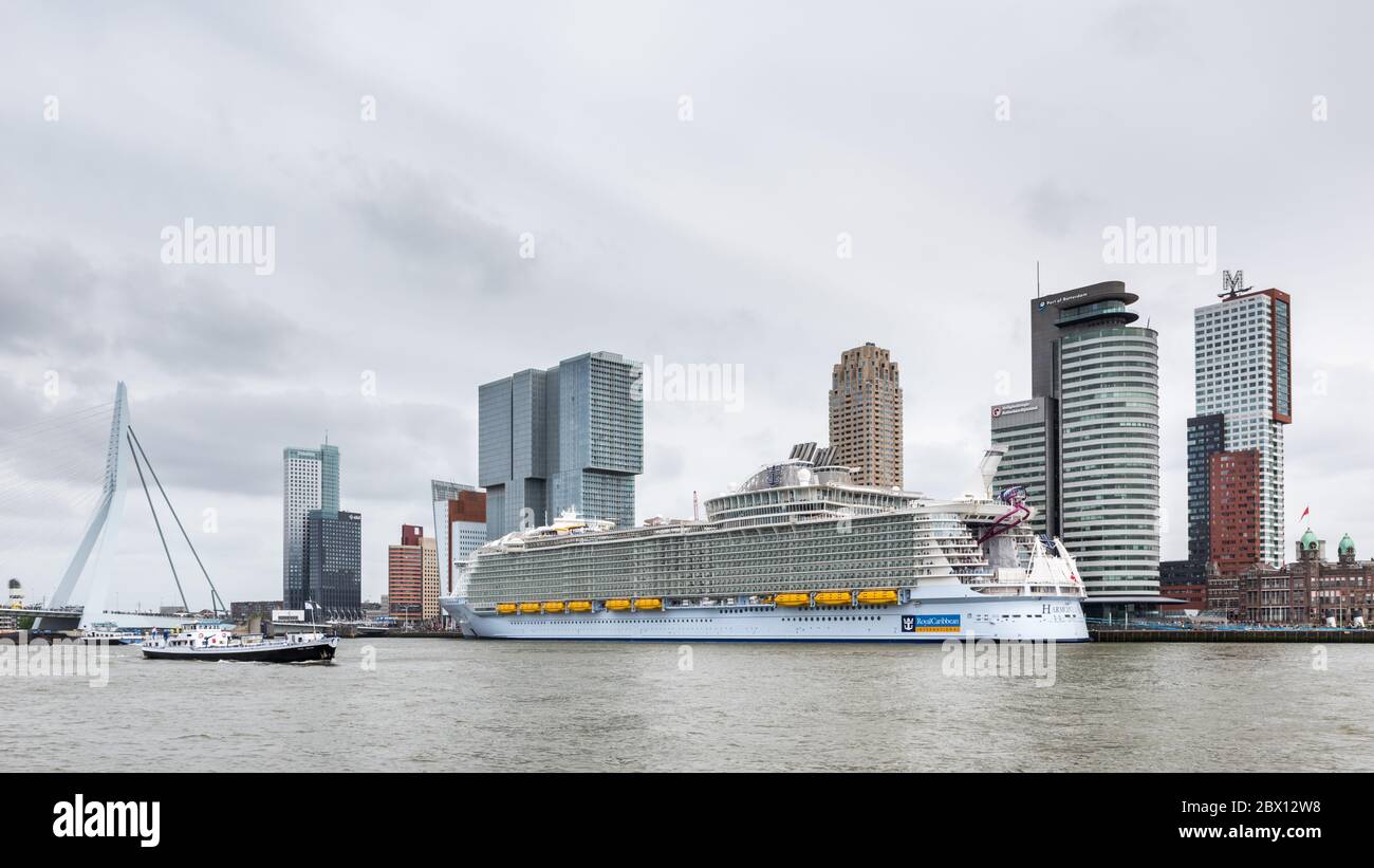 ROTTERDAM, PAÍSES BAJOS - 24 de mayo de 2016: El barco de cruceros mas grande del mundo, la armonía de los mares amarrados en el Wilhelminapier en Rotterdam el 2 de mayo Foto de stock