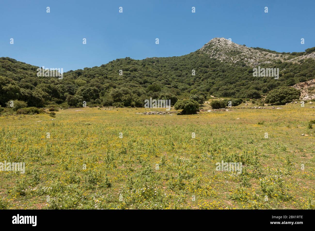 Campo y campos de granja con las montañas de piedra caliza cerca de Alfarnate, Andalucía, España. Foto de stock
