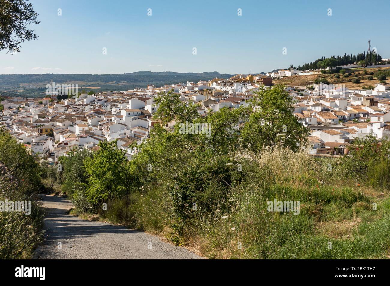 Camino al pueblo andaluz de Villanueva del Rosario, municipio de la  provincia de Málaga, Andalucía, España Fotografía de stock - Alamy