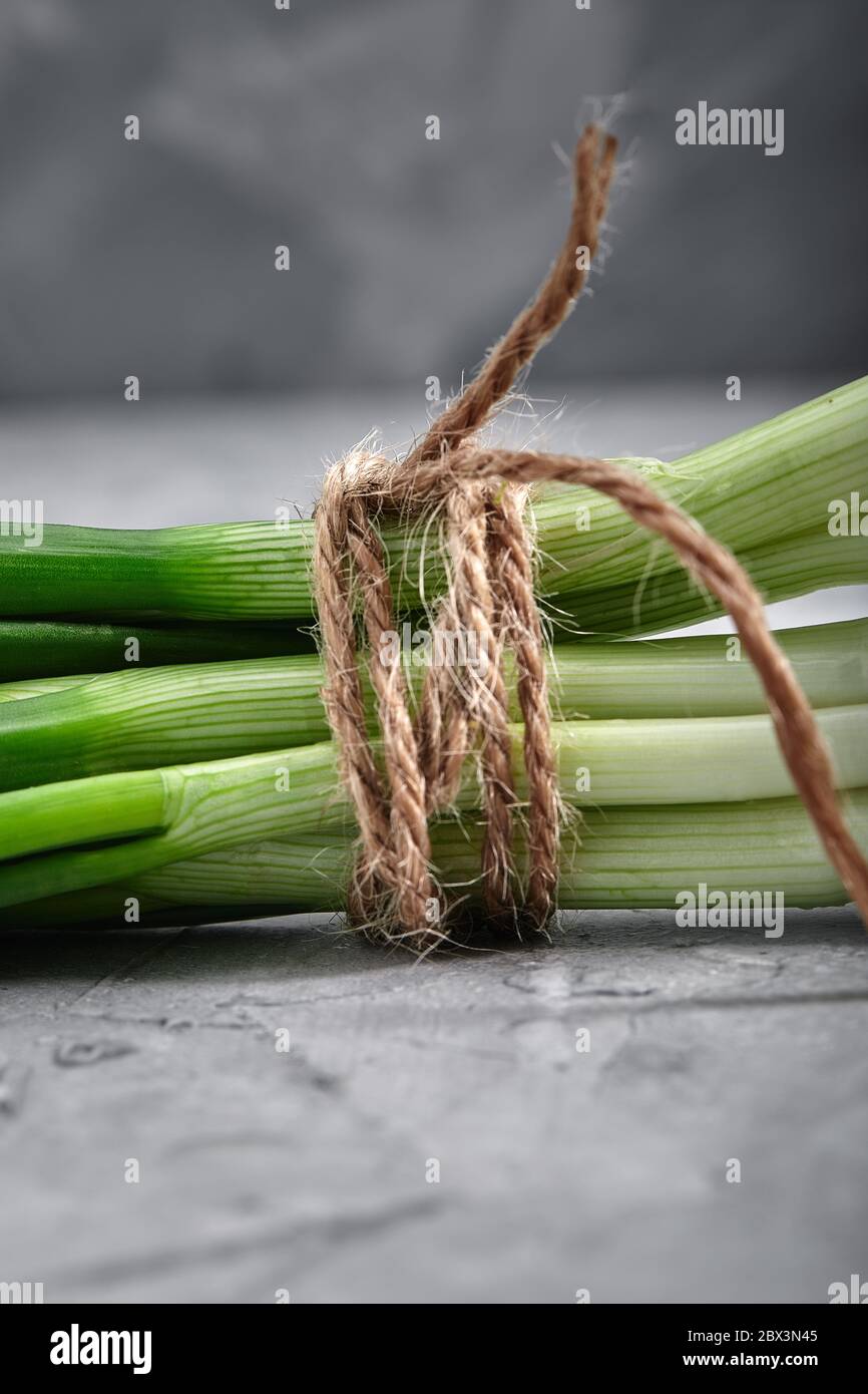 Cebollas verdes frescas atadas con una cuerda, primer plano, concepto de alimentos y salud con espacio para texto, fondo gris. Foto de stock