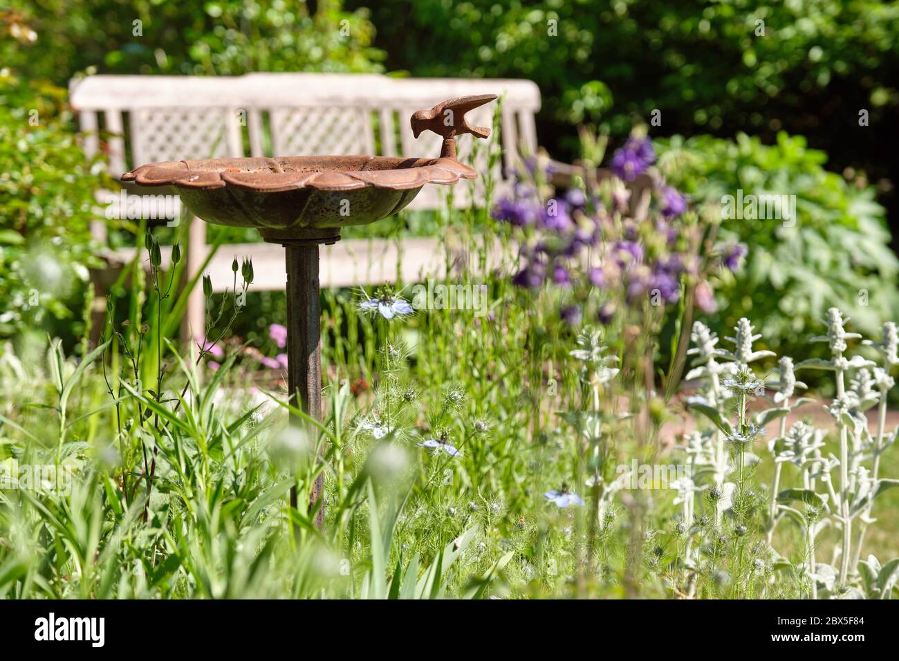 Vista idílica de un hermoso jardín verde y creciente de primavera con plantas en flor, césped y un baño de aves y un banco de madera en un día soleado. He visto Foto de stock