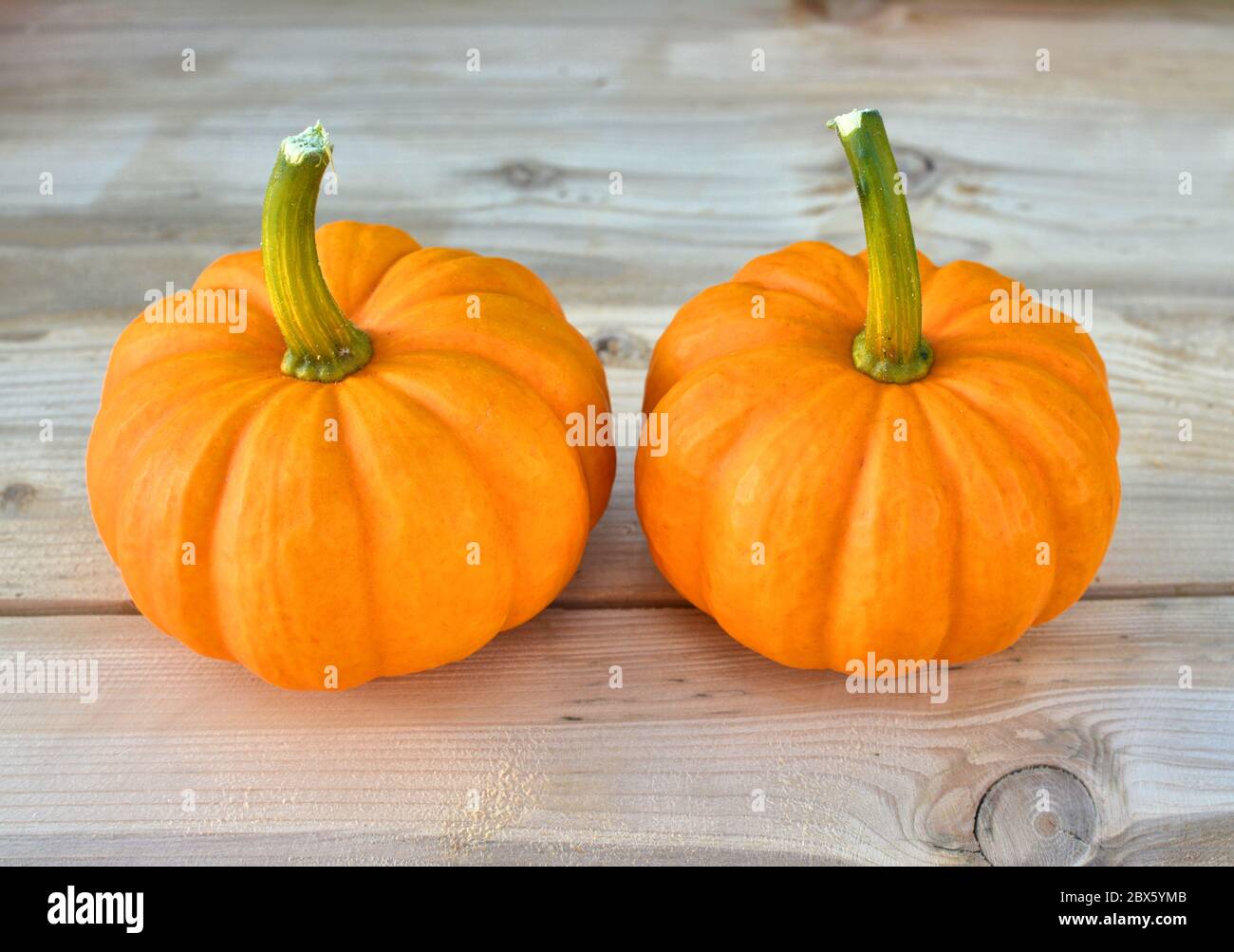 Pequeñas calabazas fotografías e imágenes de alta resolución - Alamy