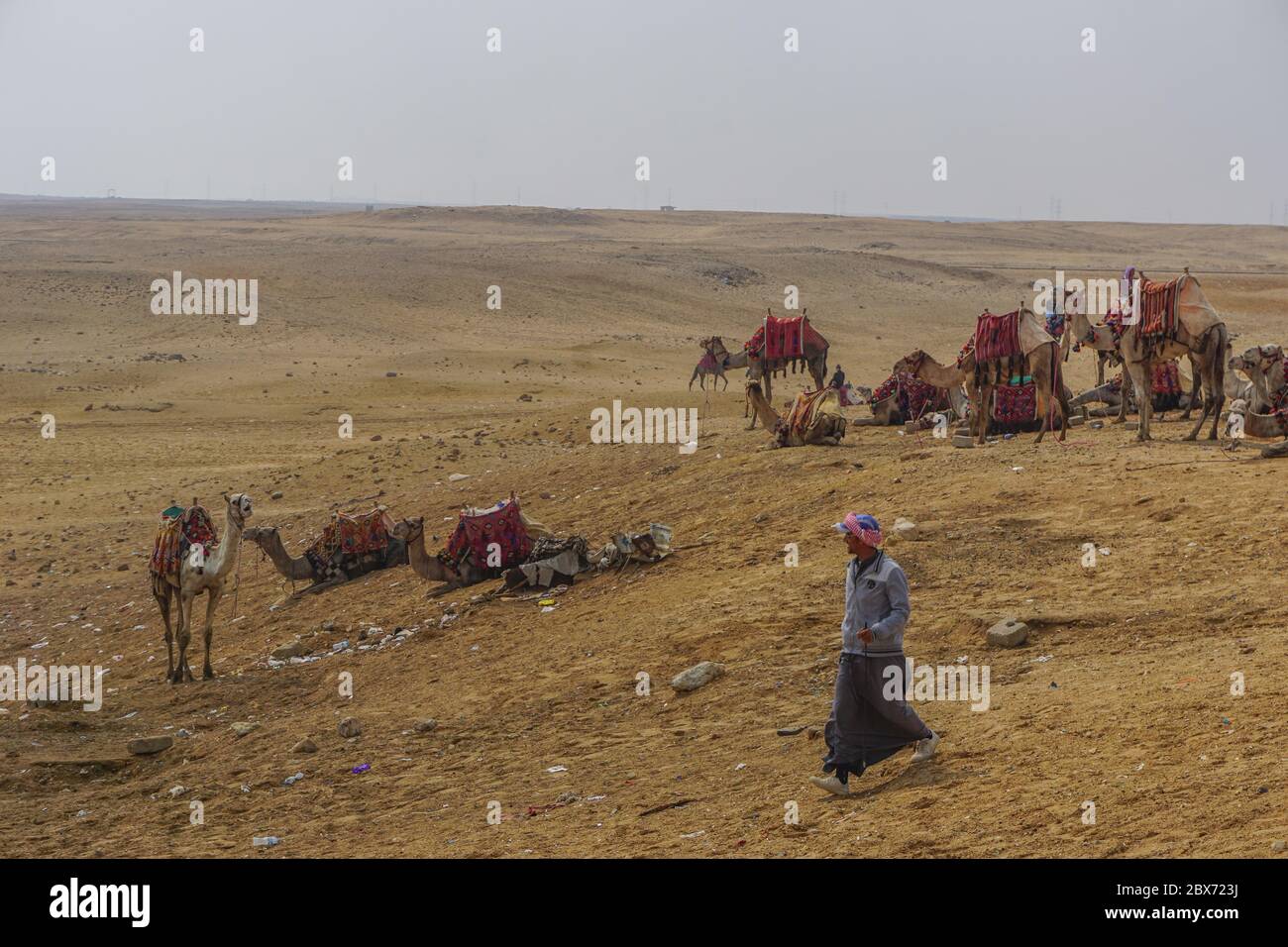 Giza, Egipto: Camellos con coloridas mantas de sillín esperan a los jinetes en arena cubierta de basura cerca del complejo de la pirámide de Khufu. Foto de stock