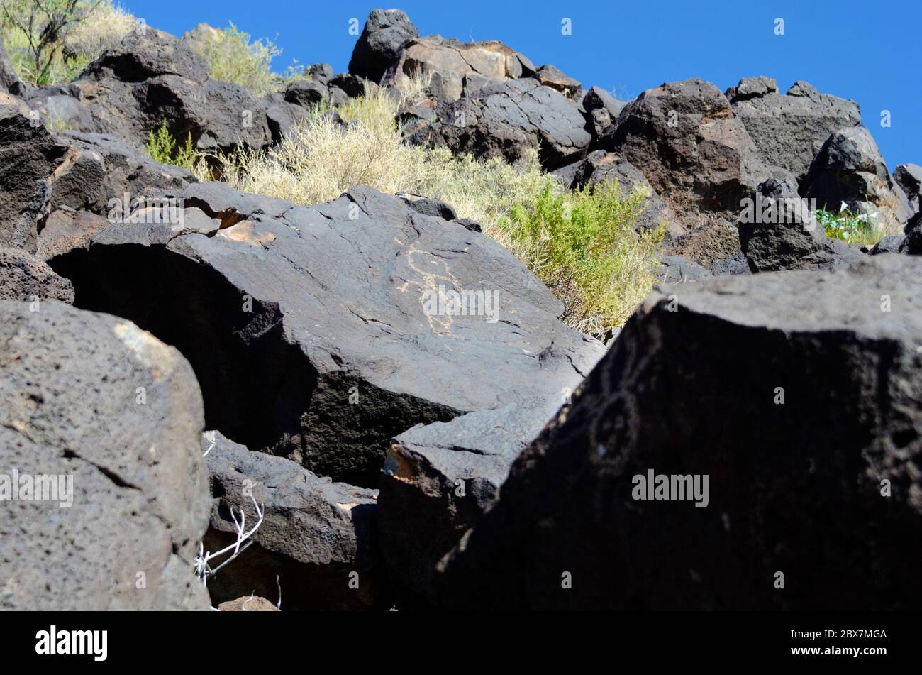 Petroglyph National Monument, Albuquerque, Nuevo México, EE.UU. Foto de stock
