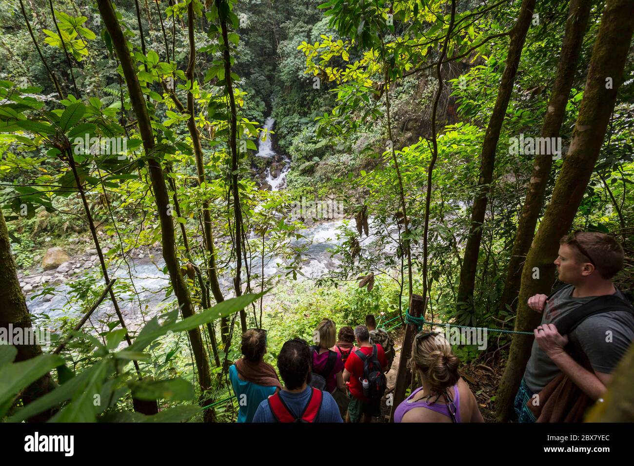Excursionistas en Sensoria, reserva tropical de selva tropical, Rincón de la Vieja, Provincia de Alajuela, Costa Rica Foto de stock