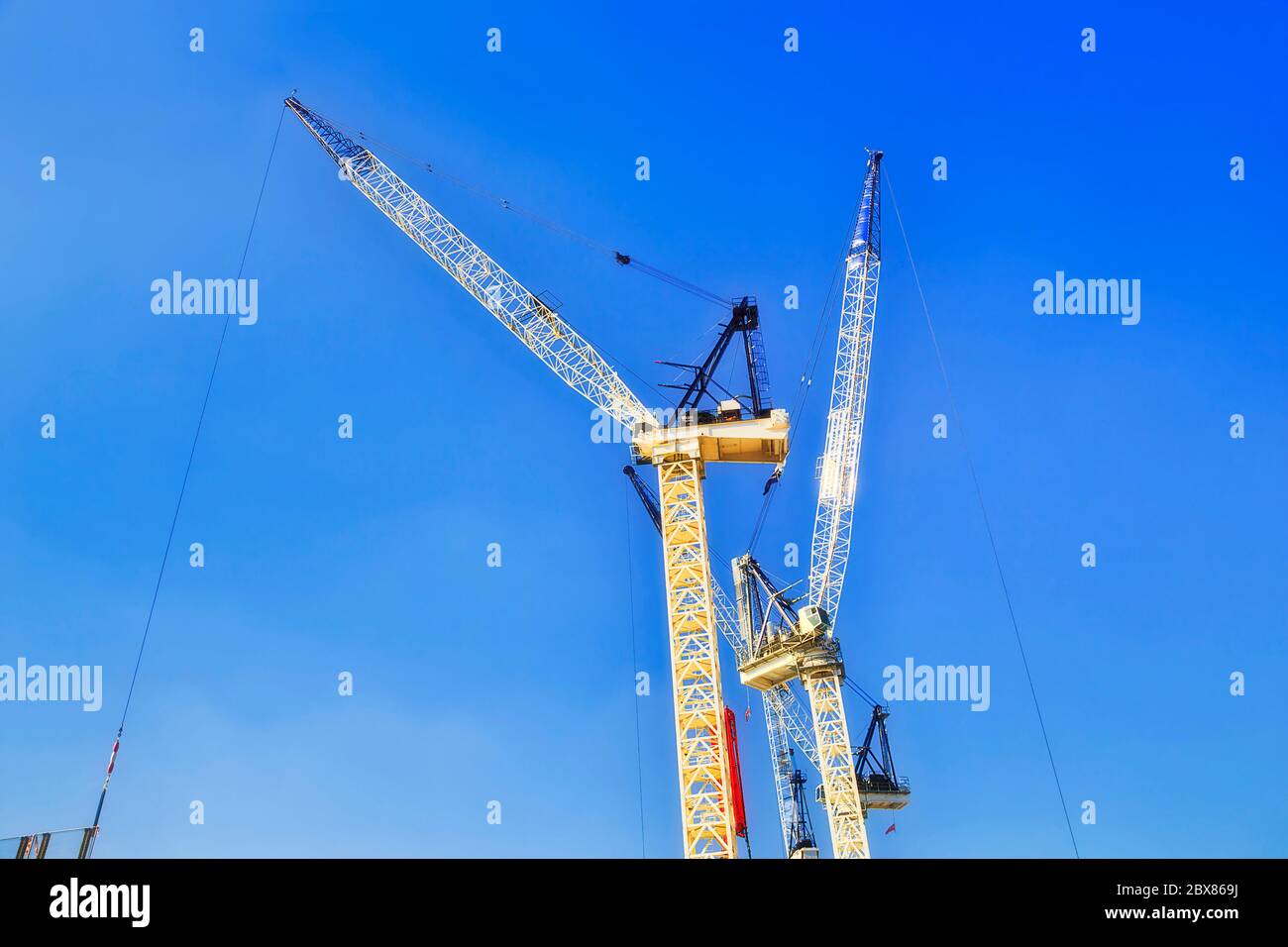Grúas de construcción en el sitio de construcción en el proyecto de desarrollo australiano contra el cielo azul. Foto de stock
