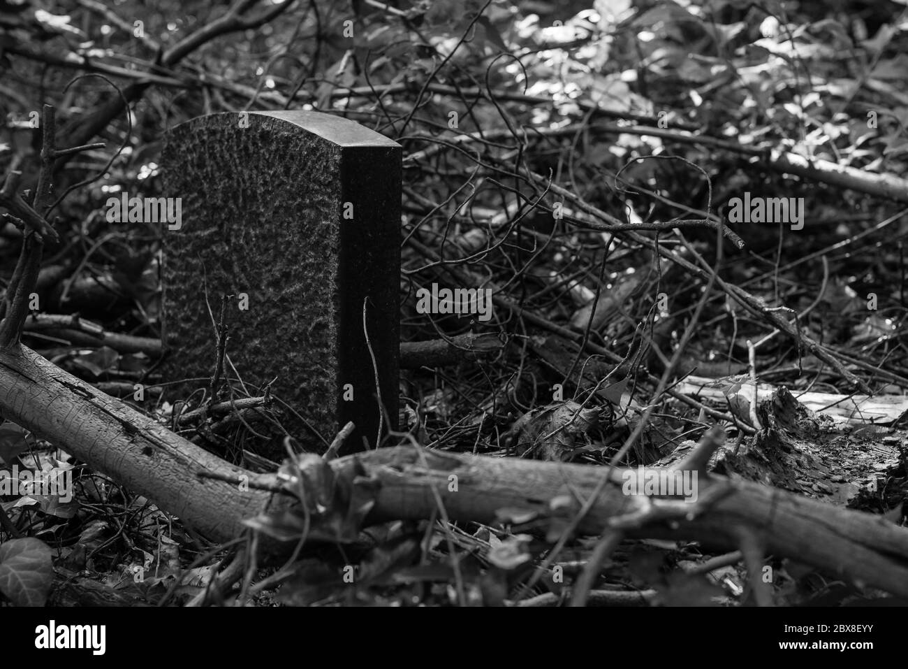 Tumbas antiguas en un bosque, cementerio antiguo, tumbas que nadie se