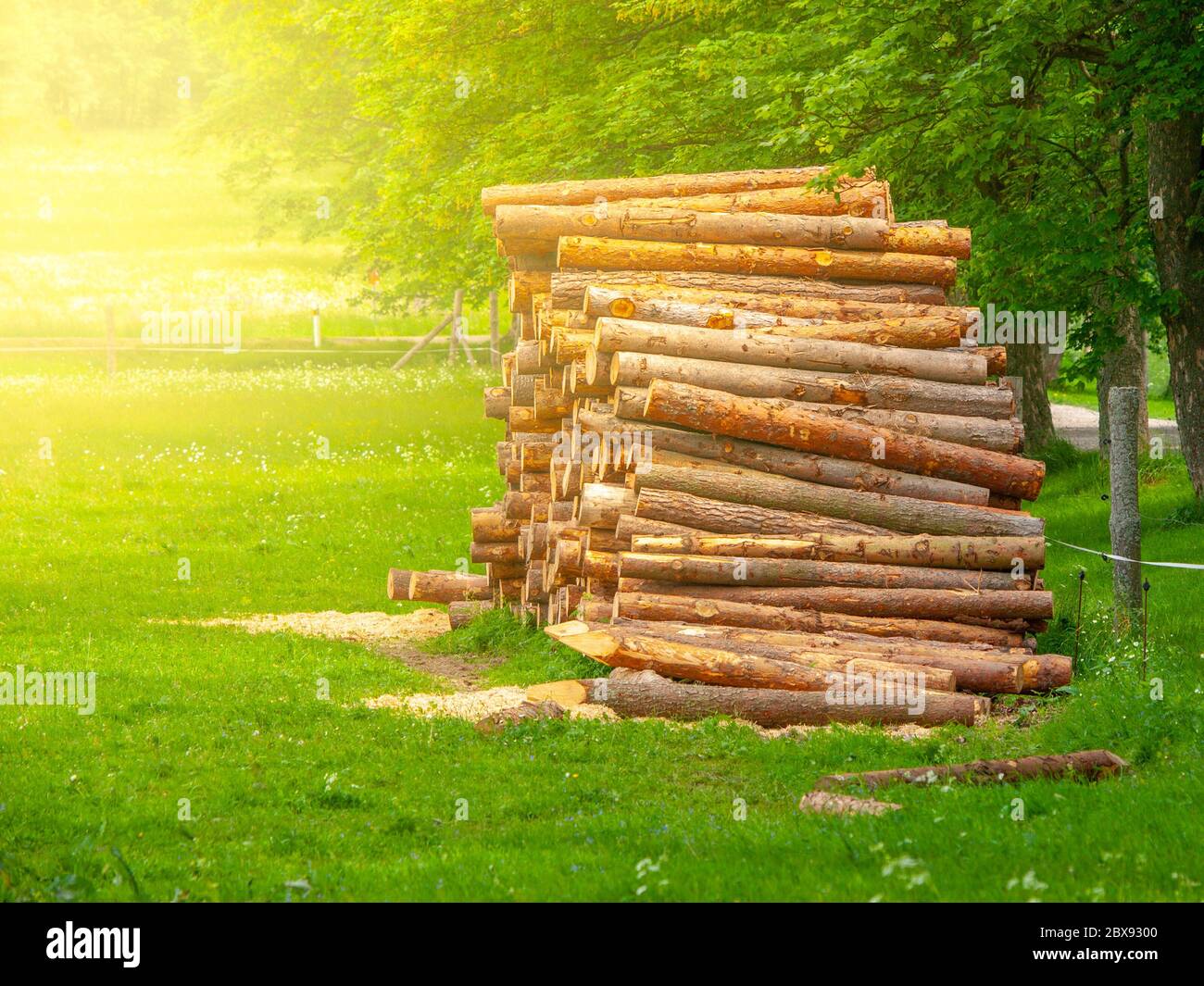 Pila de troncos de madera picada en el prado verde. Pila de madera. Foto de stock