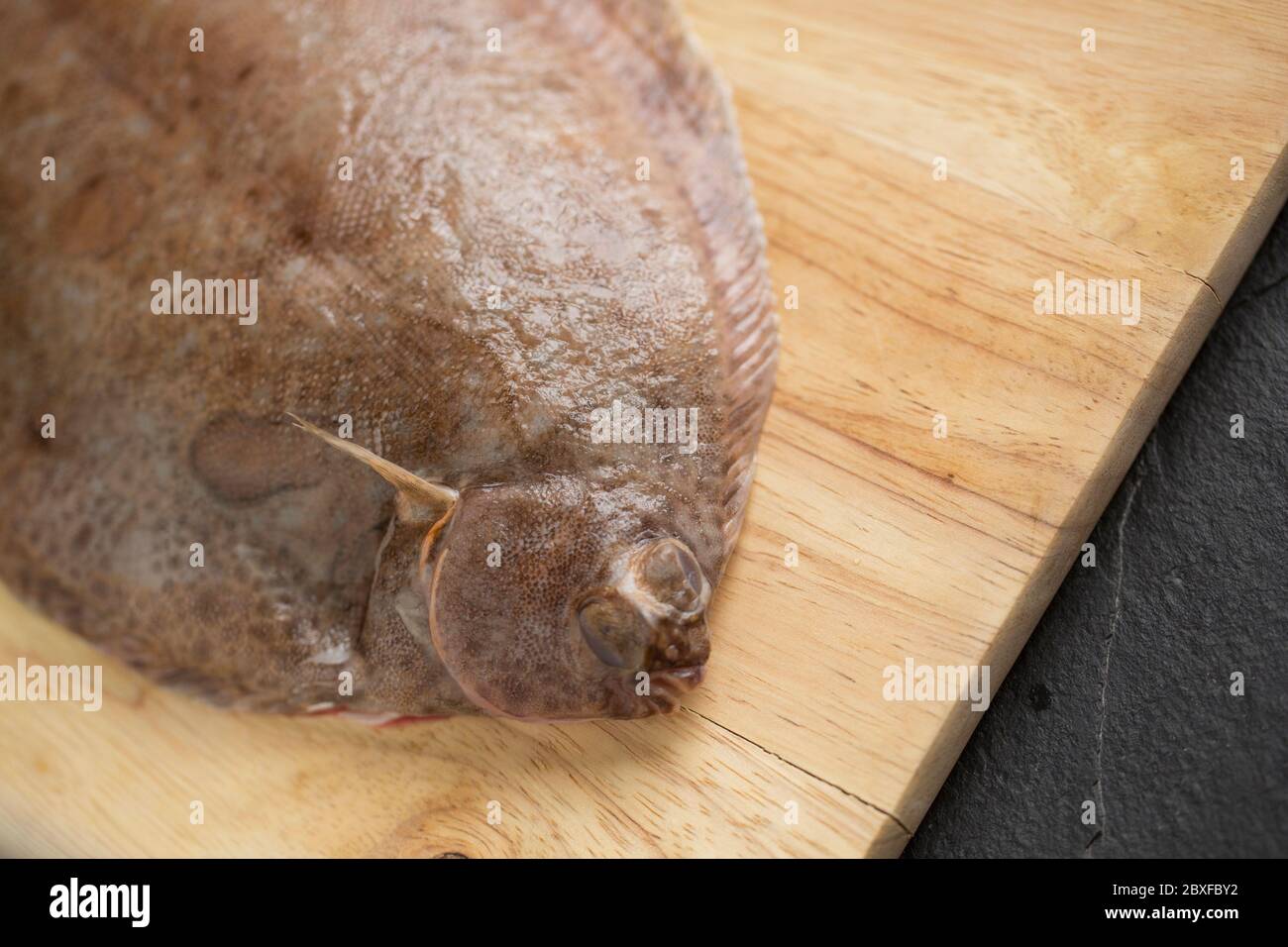 Una suela de limón cruda y cruda, Microtomus kitt, que fue capturada en el Canal Inglés presentado en una tabla de madera antes de cocinar. Dorset Engla Foto de stock