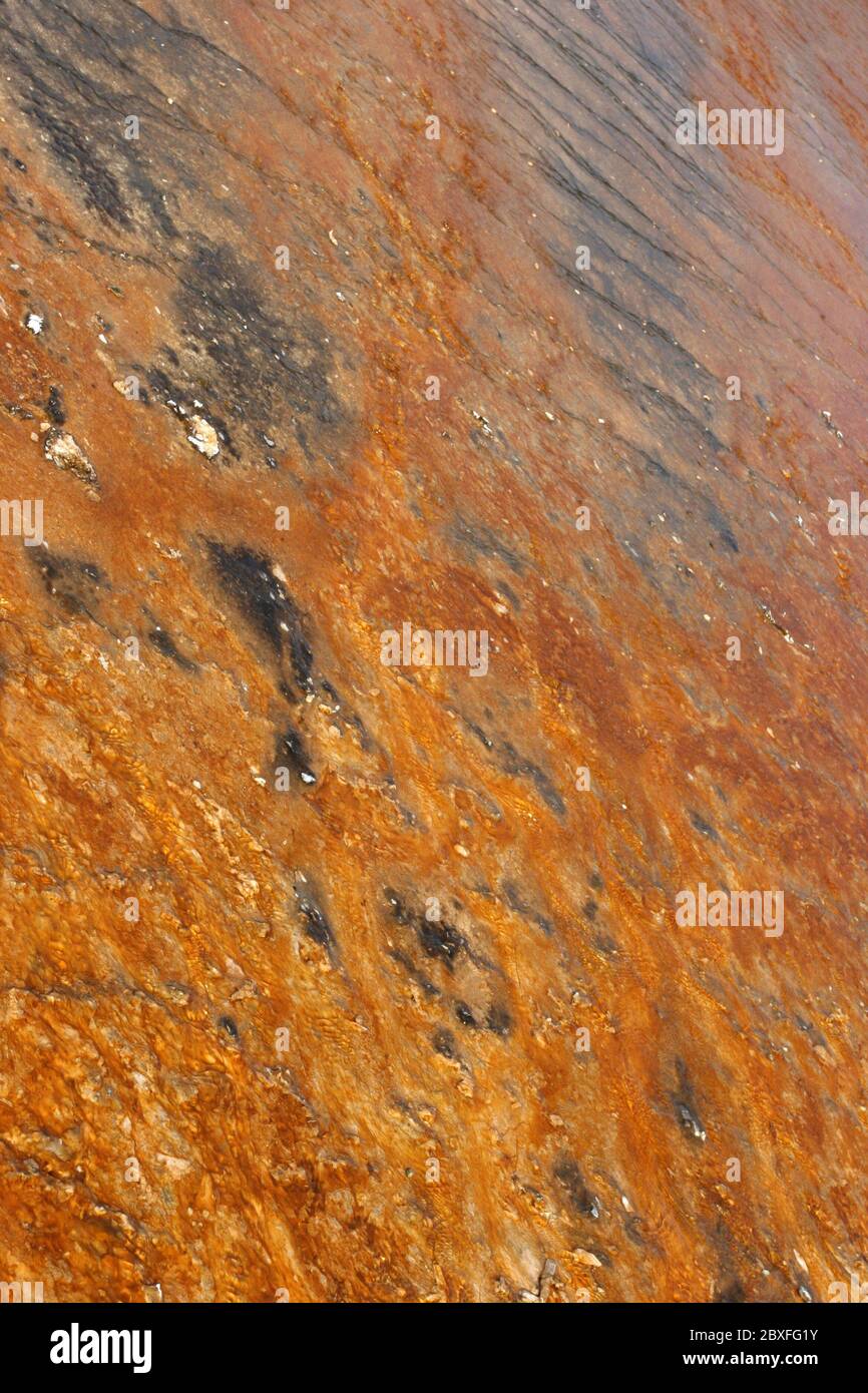 Midway Geyser Basin - Bacterial Mat 5 de agosto de 2007 Yellowstone National Park, Wyoming Canon 20D, 17-40L Foto de stock