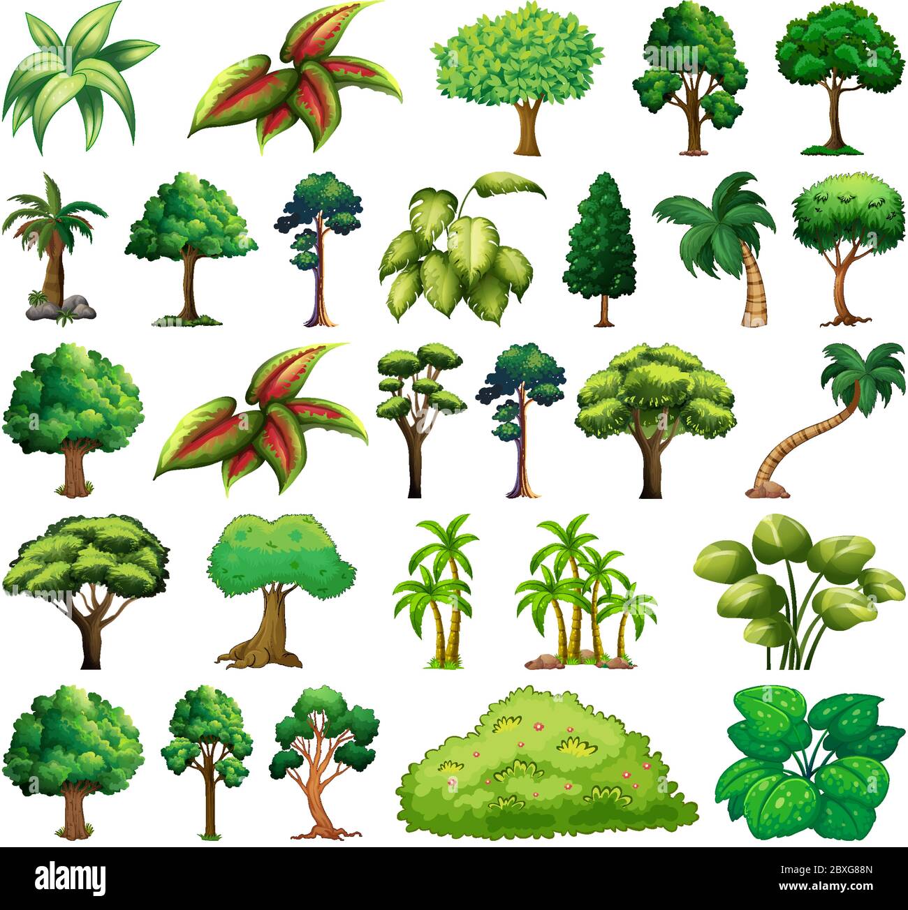 Conjunto de variedades de plantas y árboles ilustración Imagen Vector de  stock - Alamy