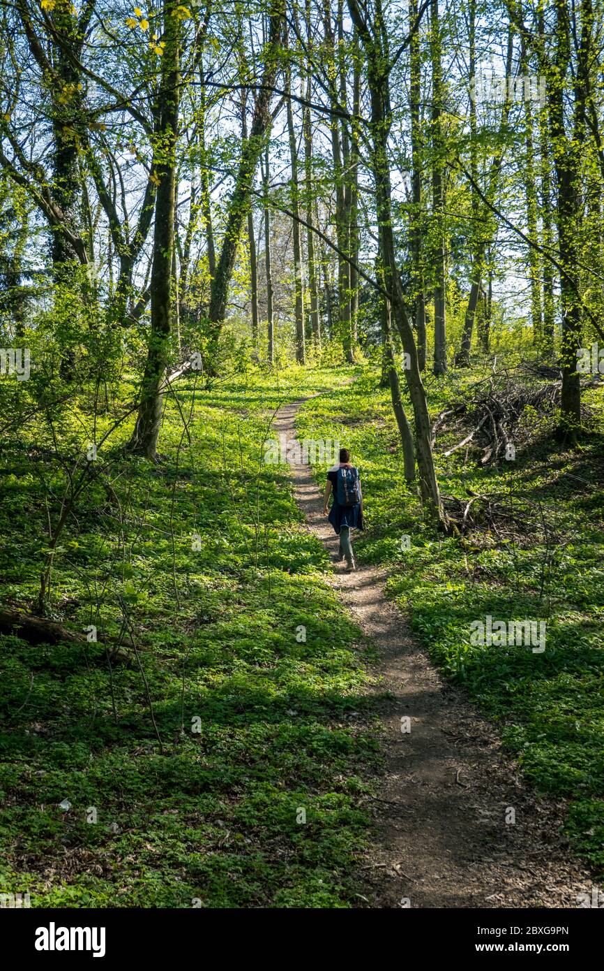 Mujer caminando por un sendero en el bosque en la primavera, Salzburgo,  Austria Fotografía de stock - Alamy