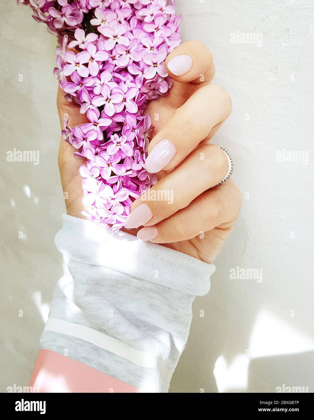 Primer plano de una mujer que sostiene una flor lila Foto de stock