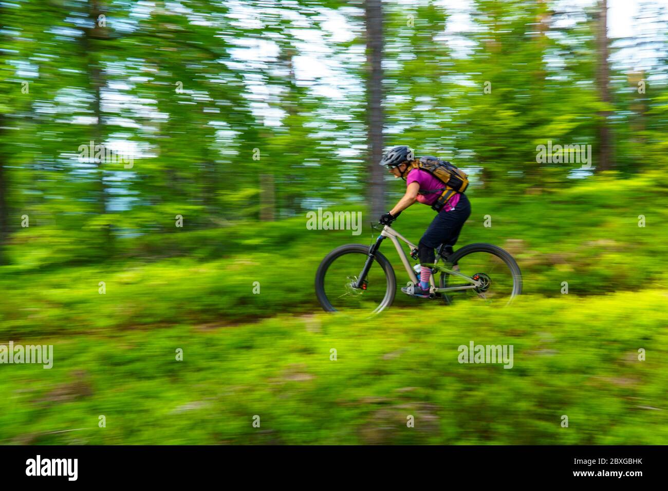 Mujer bicicleta de montaña a través del bosque, Klagenfurt, Carintia, Austria Foto de stock