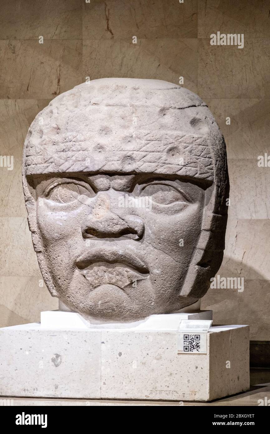 Cabeza de piedra colosal Olmeca en exhibición en el Museo de Antropología en el centro histórico