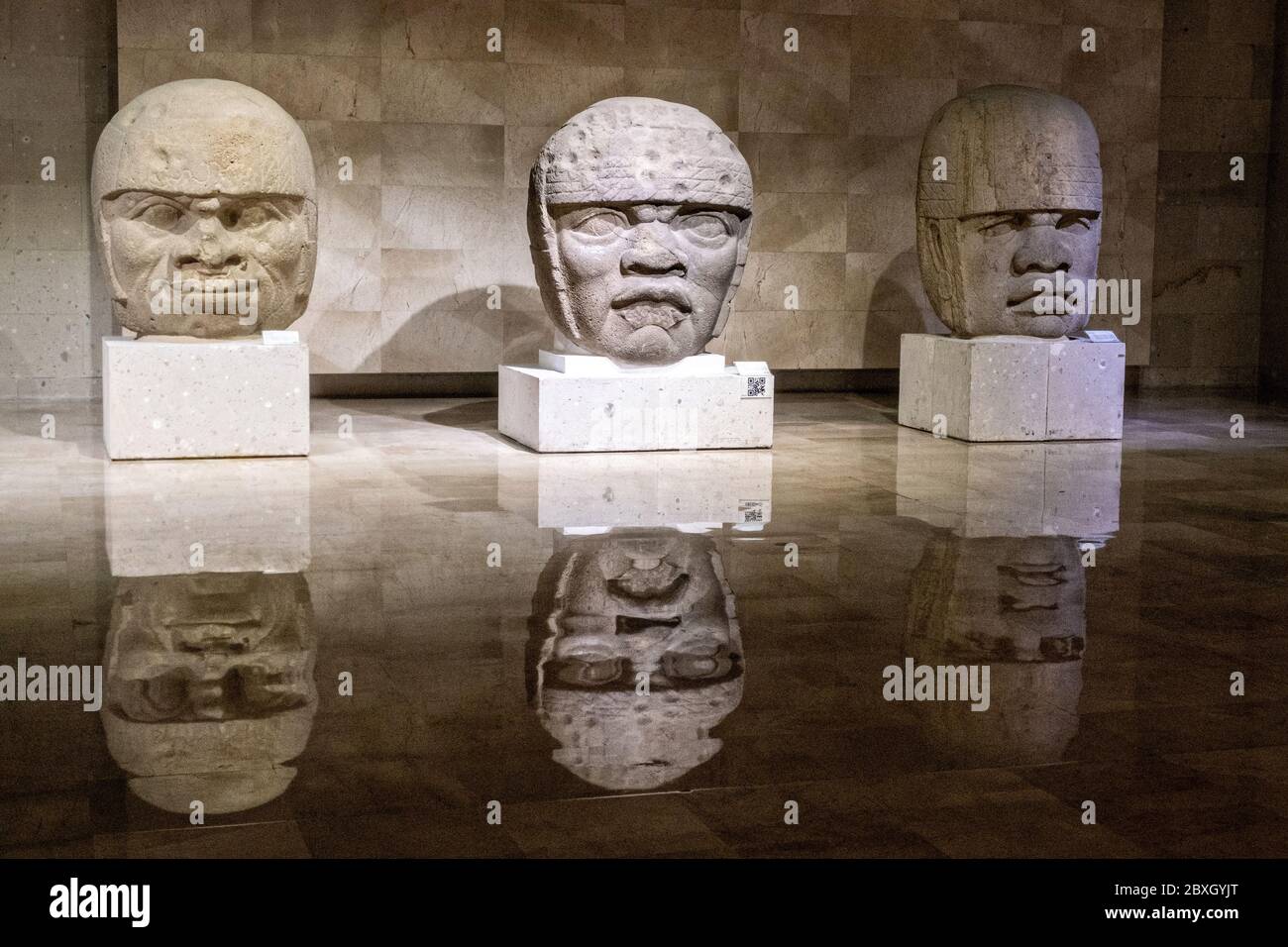 Cabezas de piedra olmeca fotografías e imágenes de alta resolución Alamy