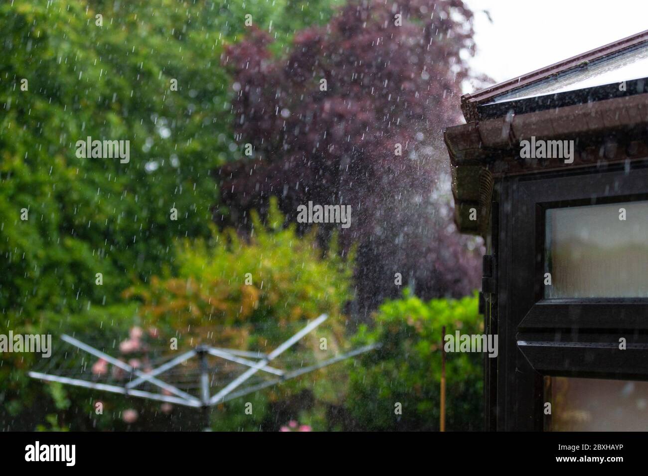 Ashford, Kent, Reino Unido. 7 de junio de 2020. Reino Unido Clima: Agua muy necesaria para el jardín, ya que una lluvia intensa pasa por el pueblo de Hamstreet en Ashford, Kent. Crédito de la foto: Paul Lawrenson/ Alamy Live News Foto de stock