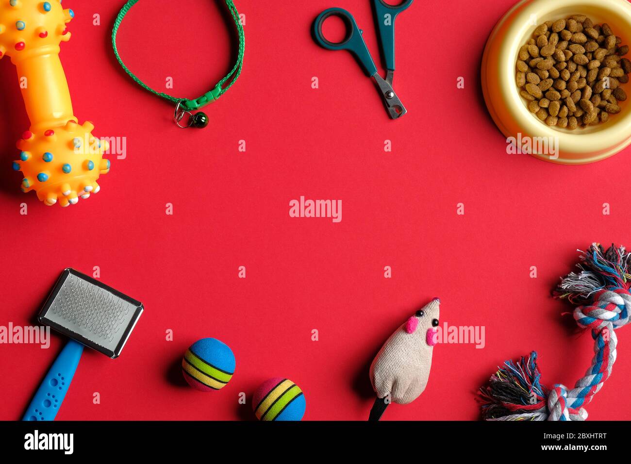 Accesorios para mascotas fotografías e imágenes de alta resolución - Alamy