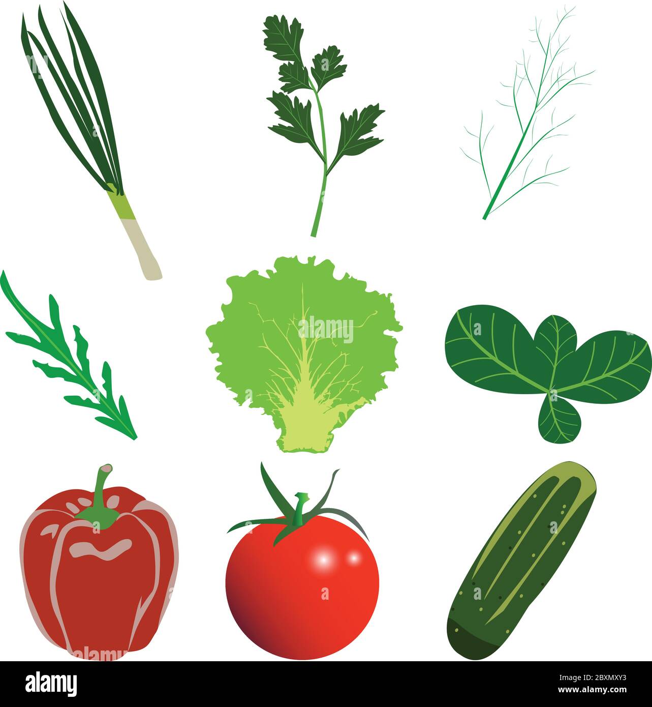 vegetales planos conjunto de diseños, cebolla, perejil, tomate, pepino, ensalada, colección de hojas de eneldo Ilustración del Vector
