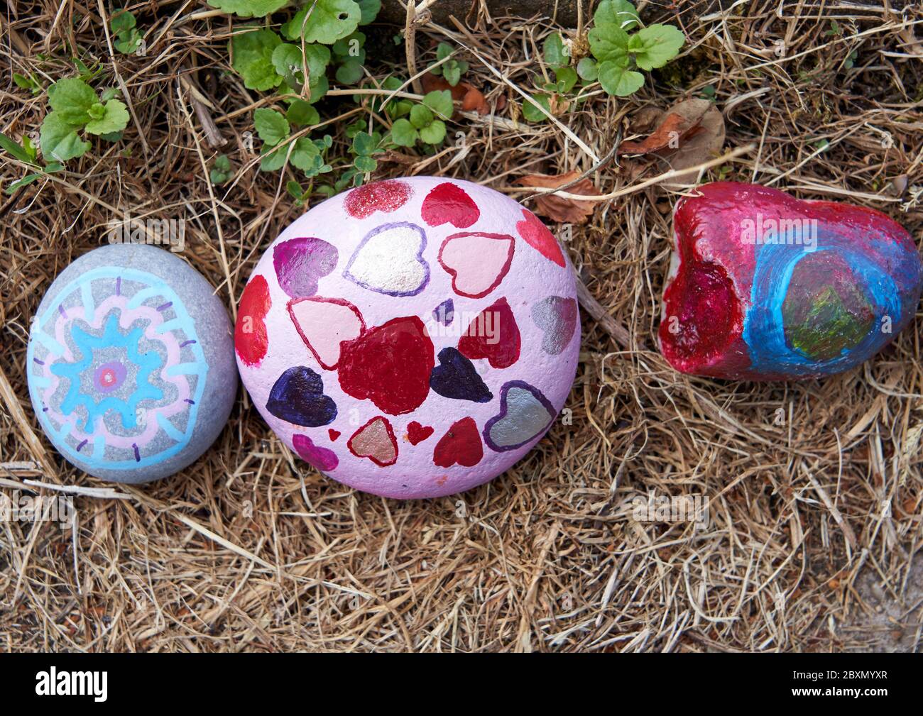 Pintó piedras en una 'serpiente' para expresar gratitud a los trabajadores clave del NHS durante la pandemia del coronavirus. Gales del Sur 2020. Foto de stock