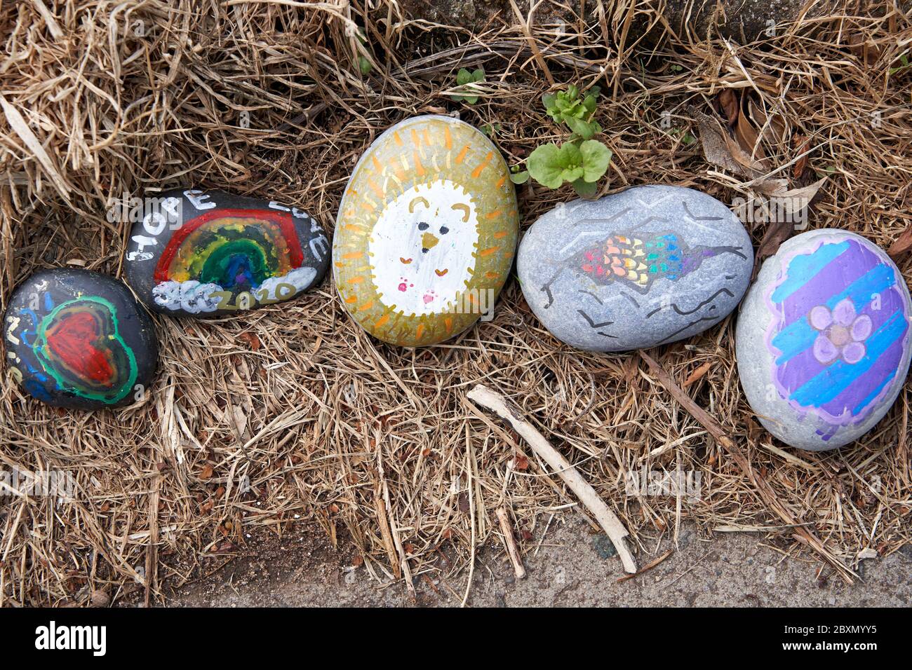 Pintó piedras en una 'serpiente' para expresar gratitud a los trabajadores clave del NHS durante la pandemia del coronavirus. Gales del Sur 2020. Foto de stock