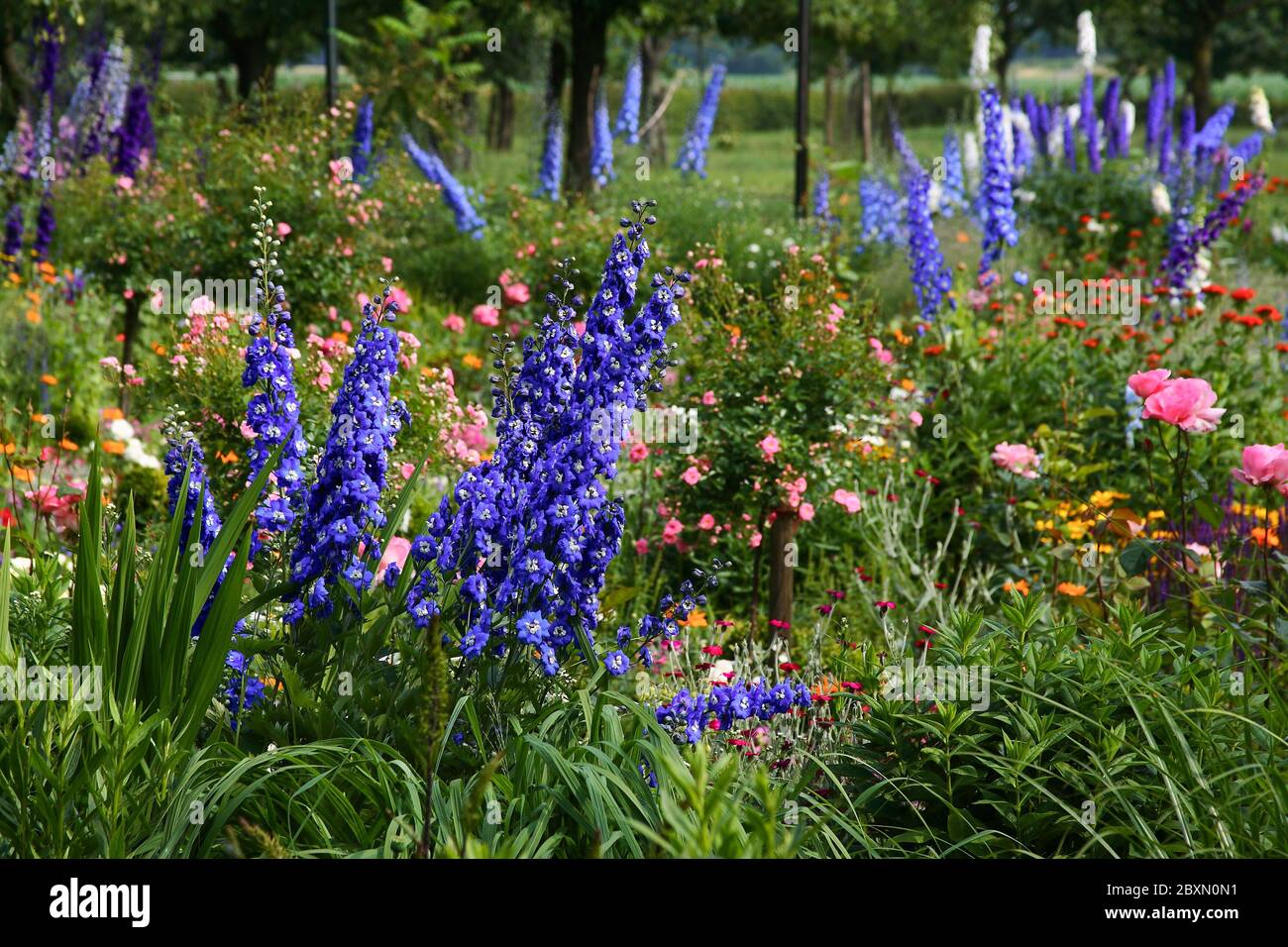 Impresión jardín, bajo Rin, Alemania, jardín idílico en Alemania Foto de stock