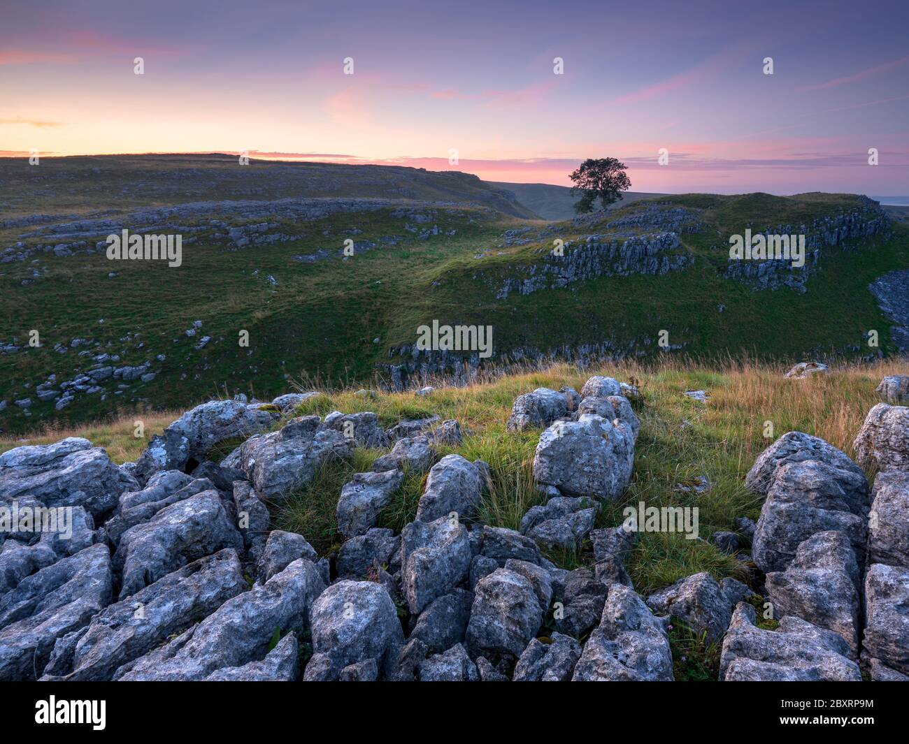 Un árbol solitario corta el horizonte en los valles de piedra caliza en Malham Lings en el Parque Nacional de Yorkshire Dales. La escena está iluminada por un amanecer tenue. Foto de stock