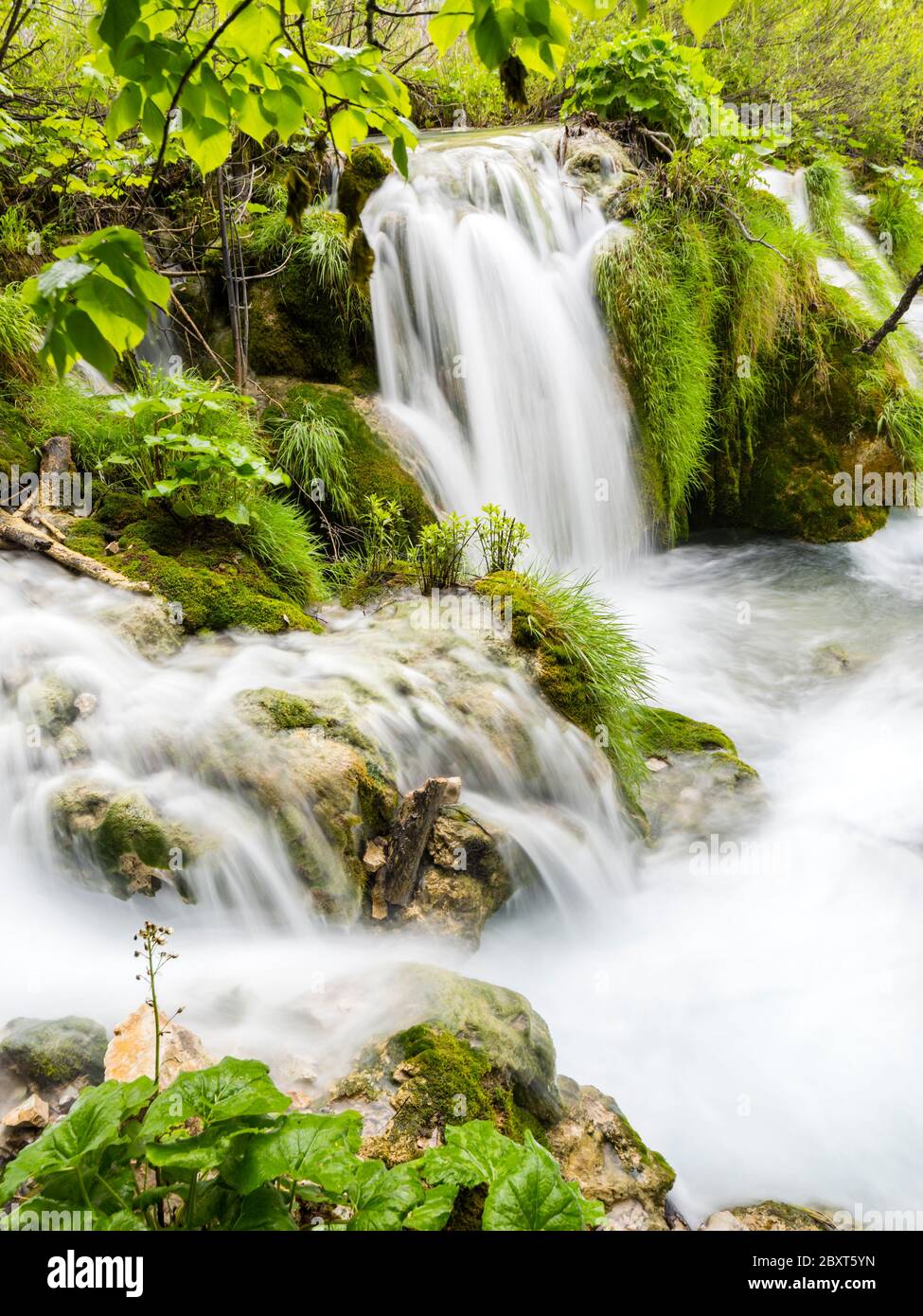 Plitvice lagos intenso bosque verde intenso en la temporada de primavera en Croacia Europa cascada vacía río flujo río flujo exposición larga Foto de stock