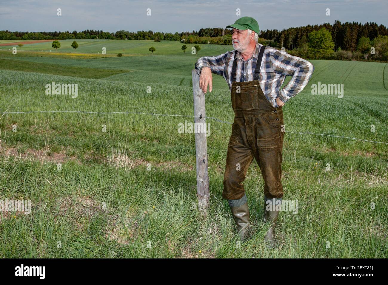 Un agricultor con peto verde y botas de goma se ha apoyado contra un puesto  de valla y está contemplando su pasto seco. El granjero revisa el maduro de  maíz Fotografía de