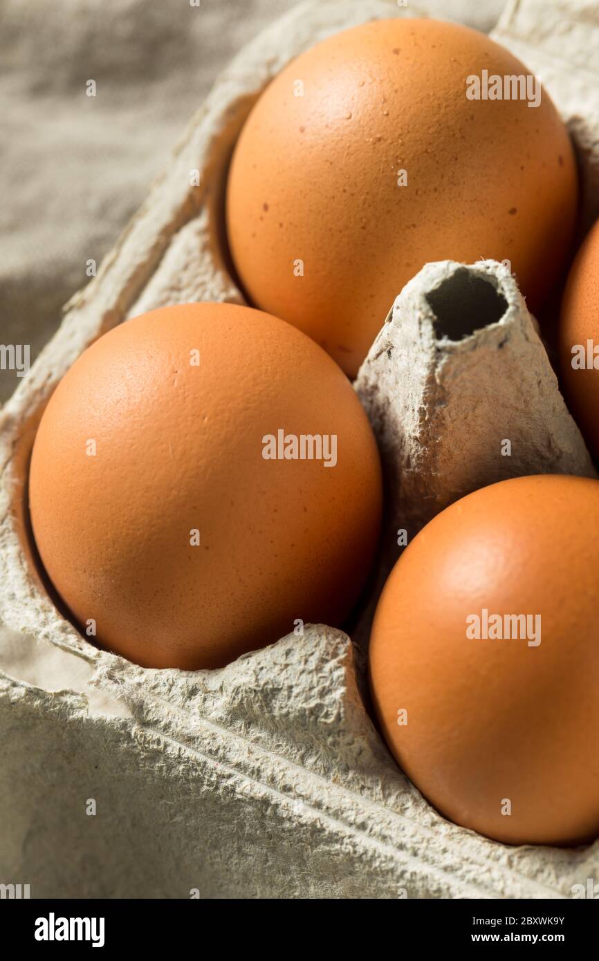 Huevos crudos de color marrón orgánico listos para cocinar Foto de stock