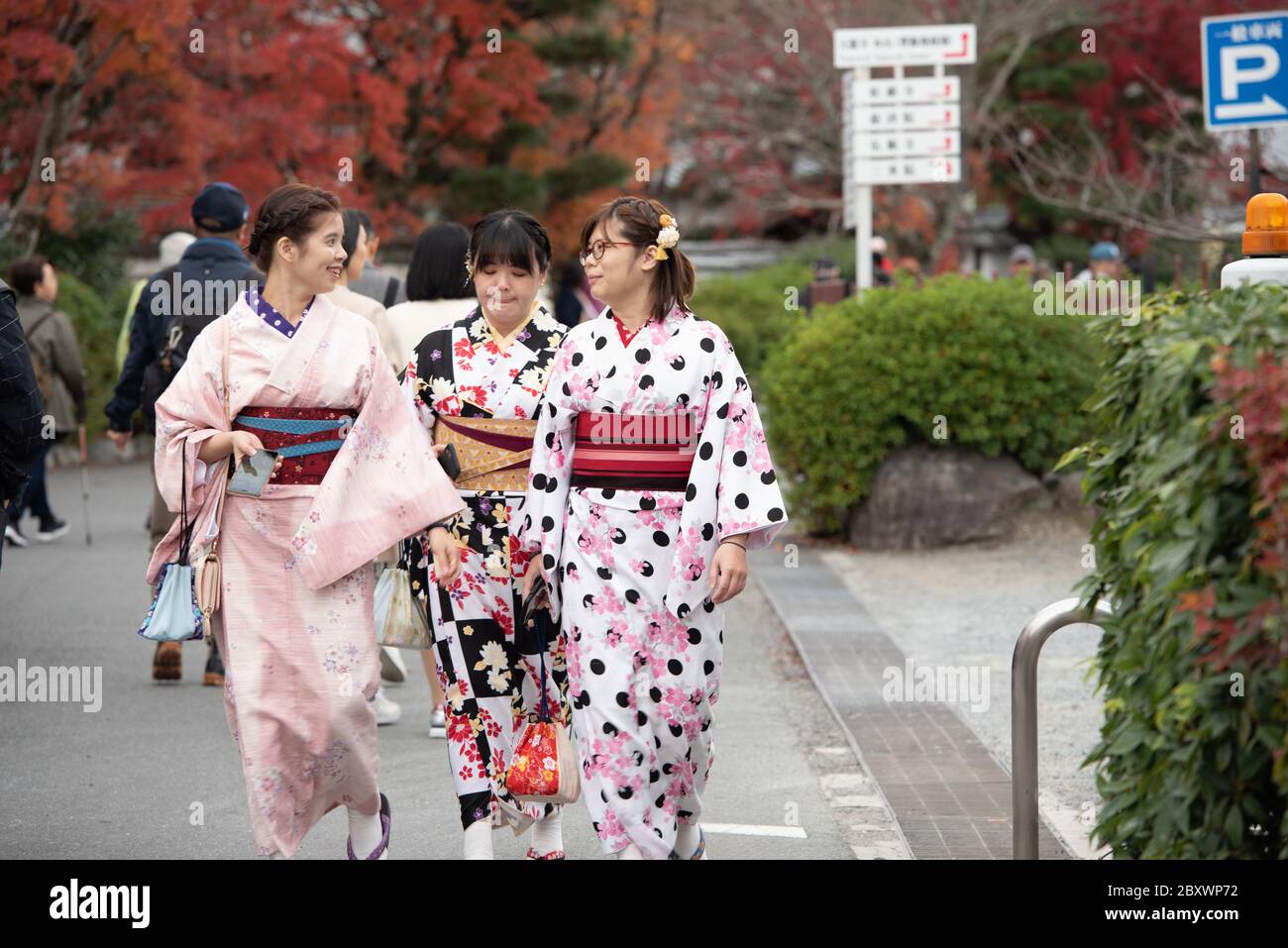 Un grupo de jóvenes japonesas vestidas con un kimono tradicional caminando hacia la entrada del Templo Tenryuji (Tenryū Shiseizen-ji) Kyoto, Japón. Foto de stock