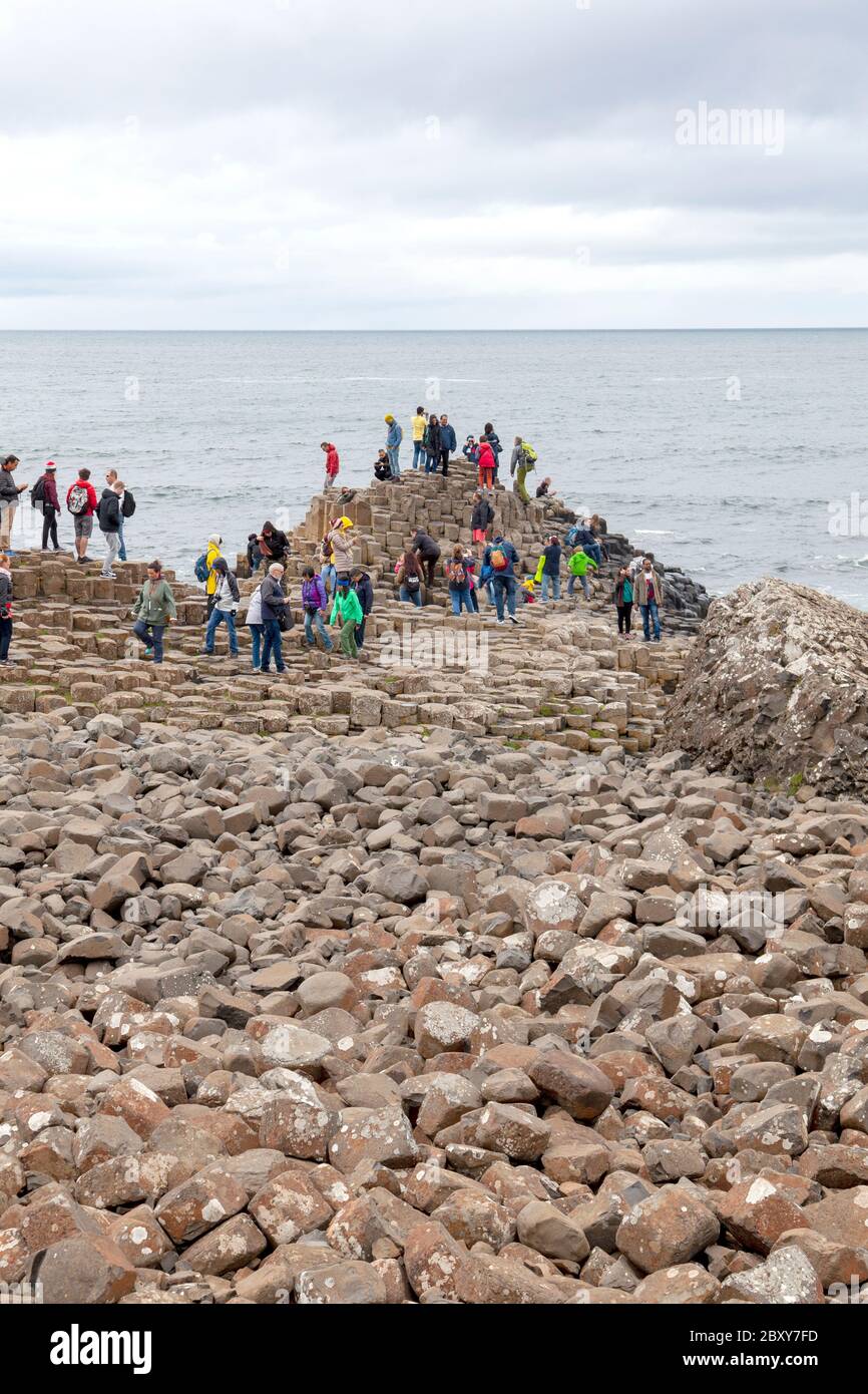 Gente explorando las miles de antiguas columnas de basalto entrelazadas del Calzada del Gigante en la costa norte del Condado de Antrim, Irlanda del Norte. Foto de stock