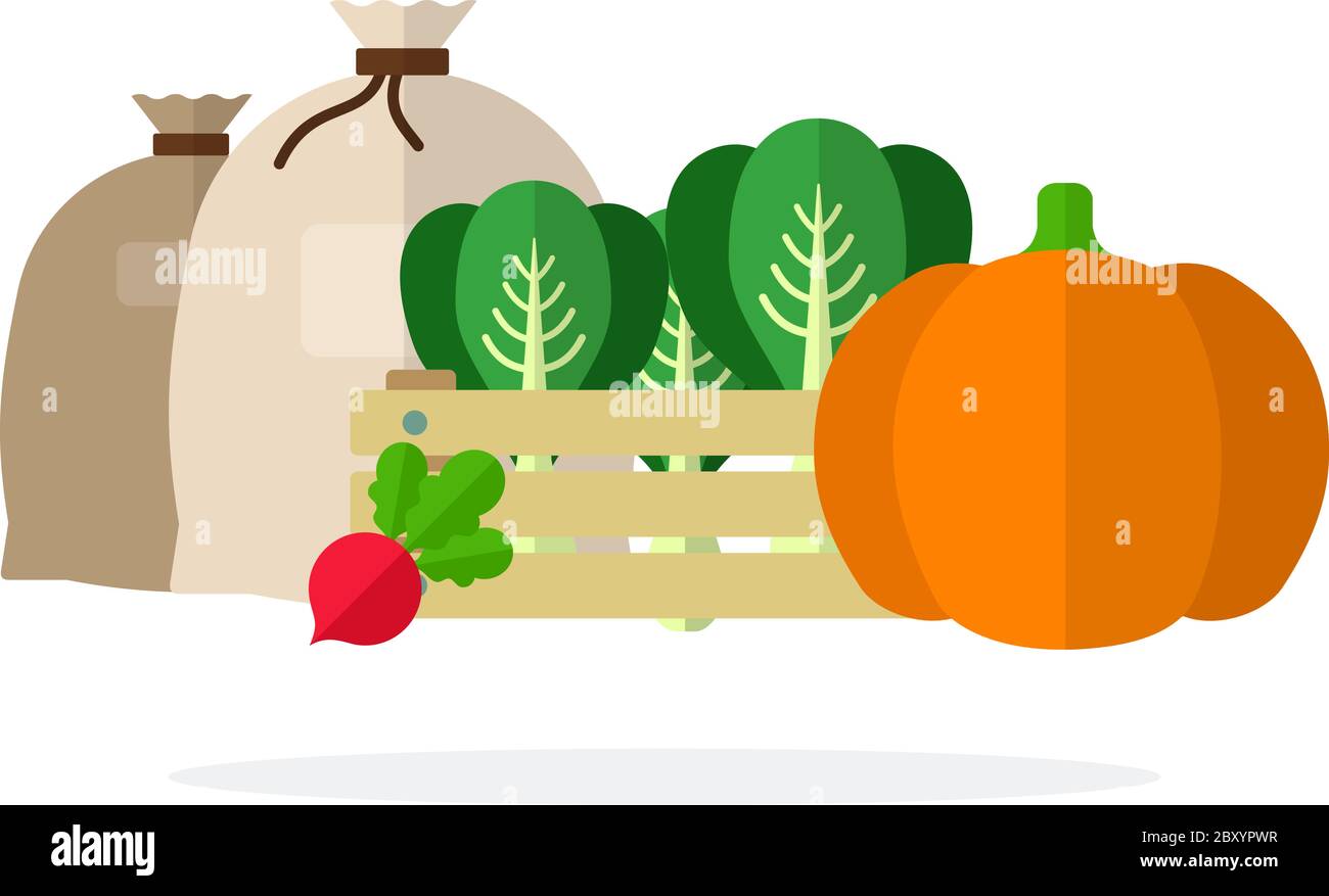 Calabaza, col China en caja, remolacha y bolsas textiles con contenido plano aislado Ilustración del Vector